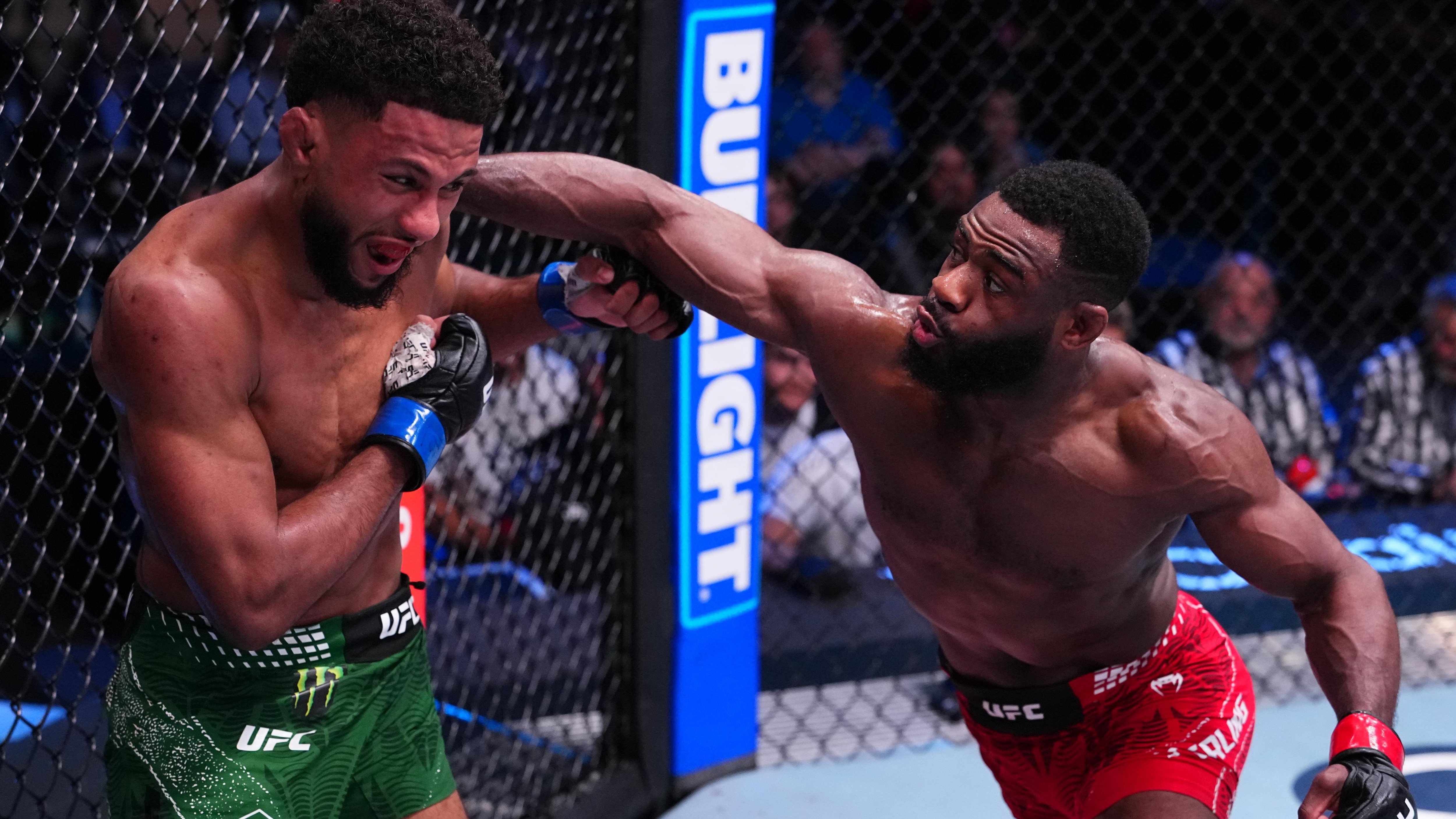 UFC Fight Night: Sterling v Zalal