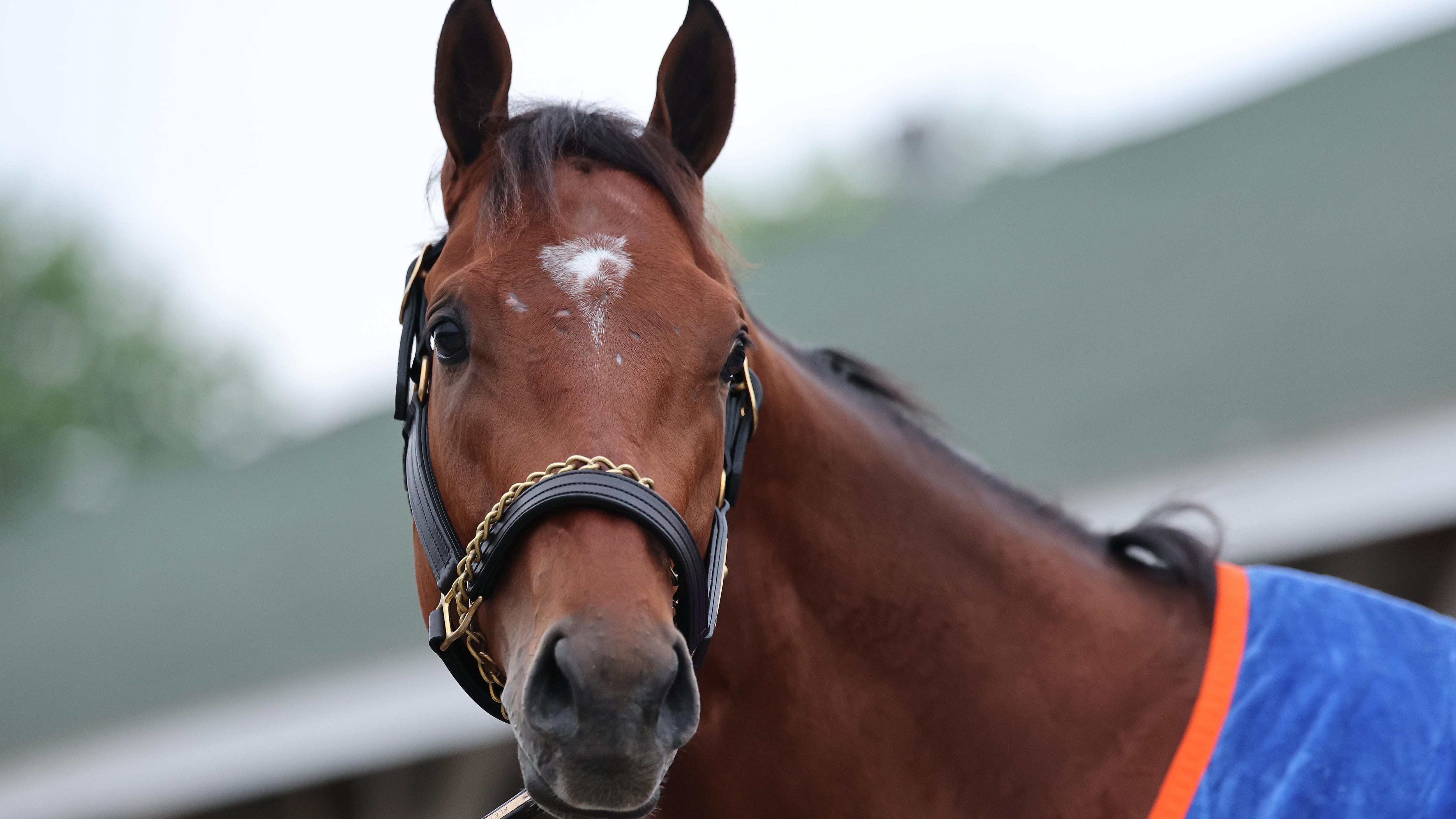 152nd Kentucky Derby - Previews