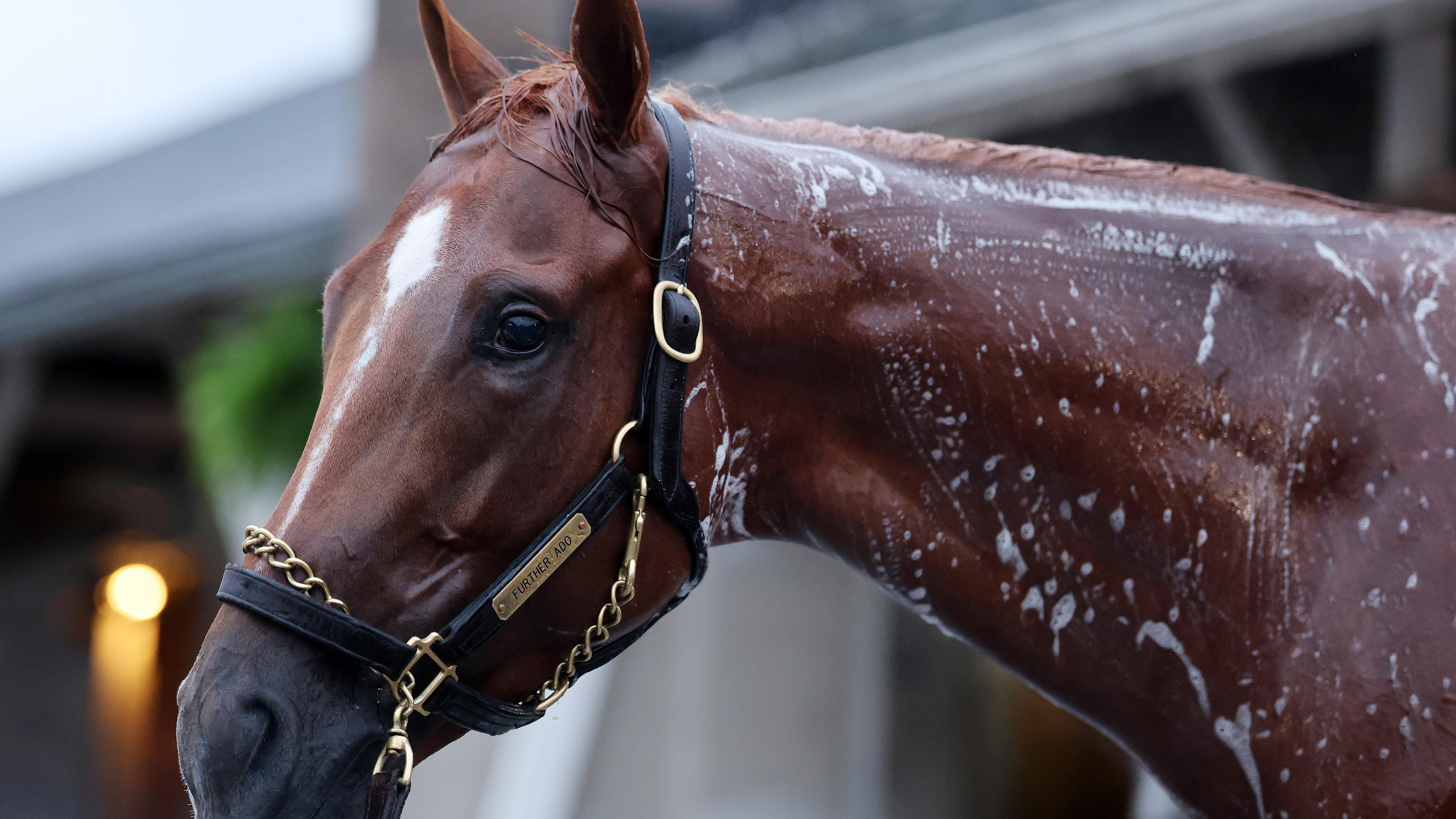 152nd Kentucky Derby - Previews