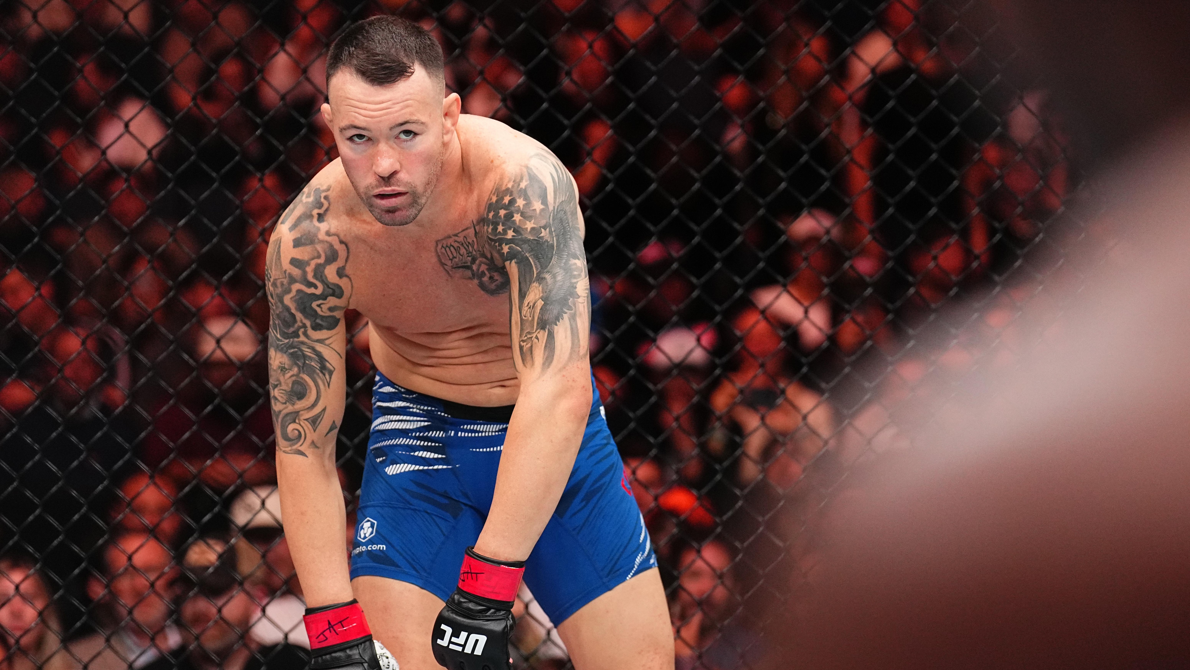 UFC Fight Night: Covington v Buckley UFC Fight Night: Covington v Buckley