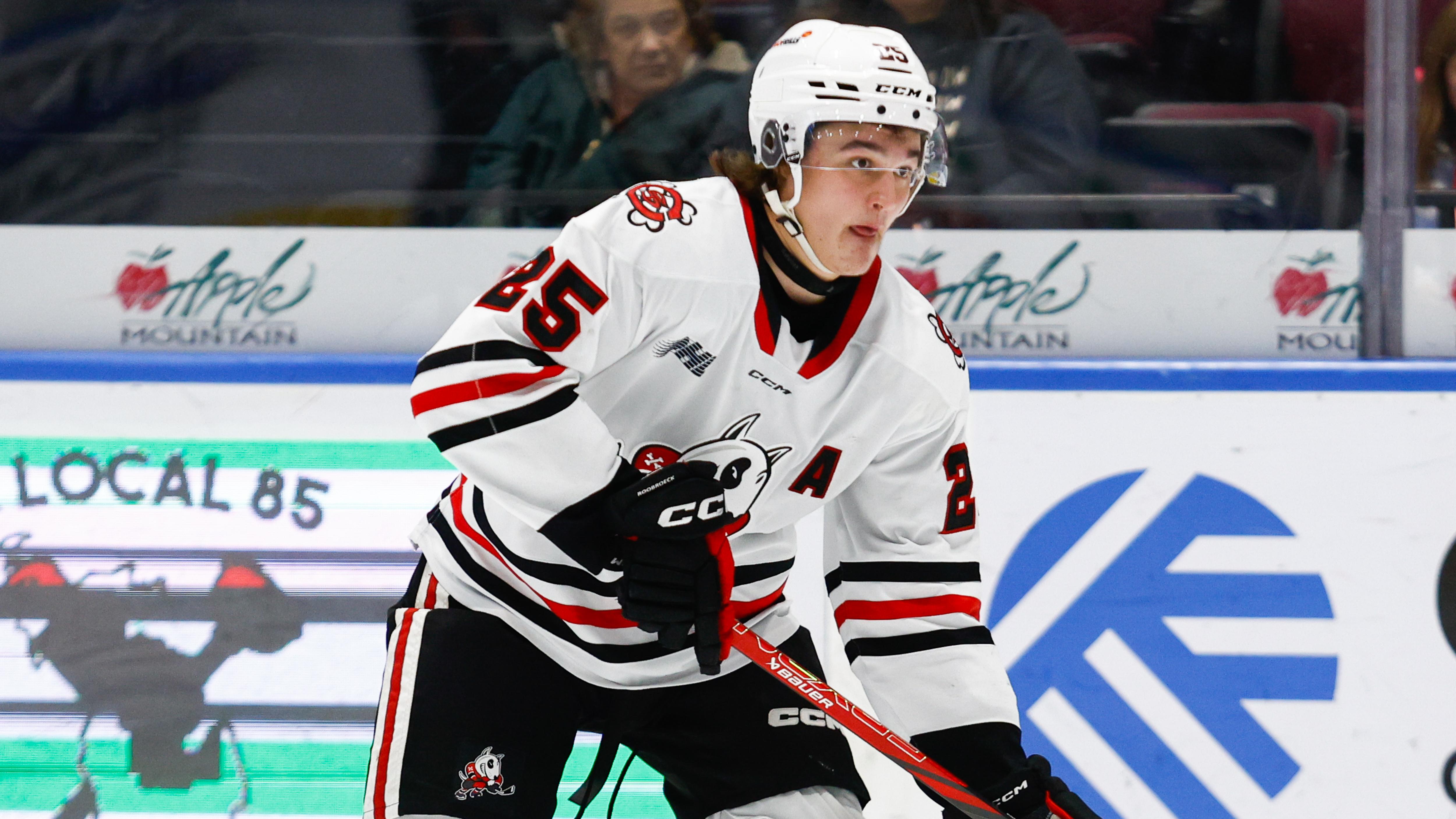 Niagara Ice Dogs v Saginaw Spirit