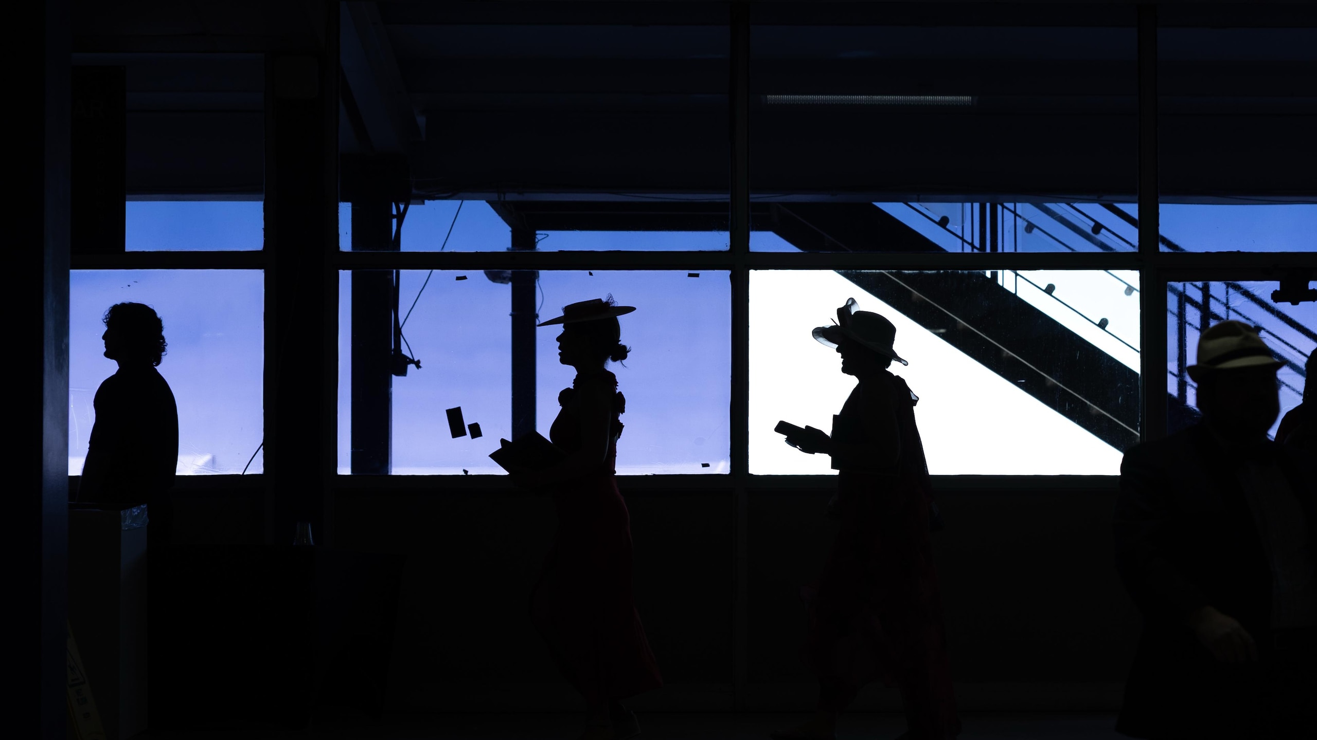 Pimlico Race Coverage