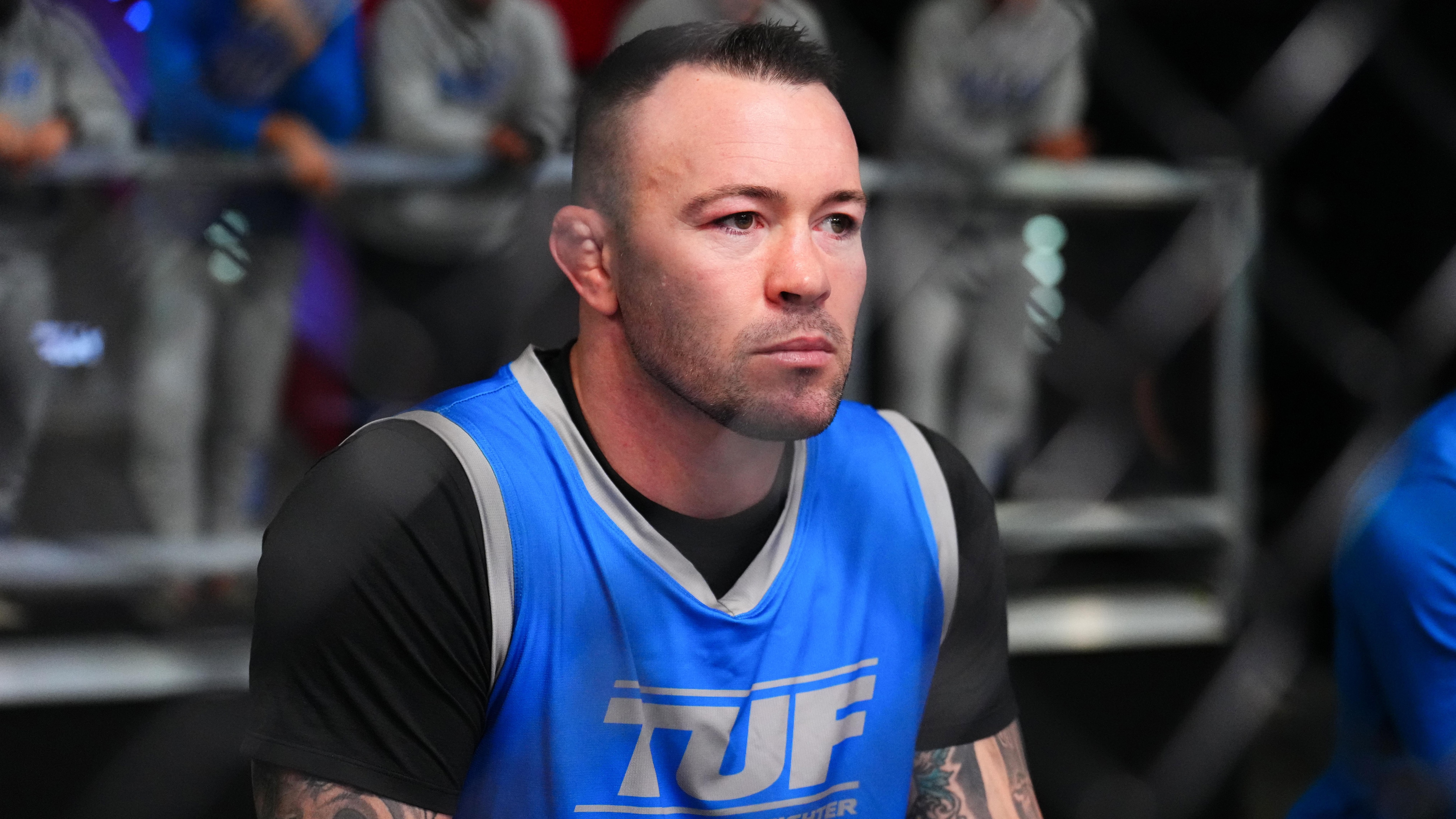 The Ultimate Fighter Season 33: Team Cormier vs Team Sonnen