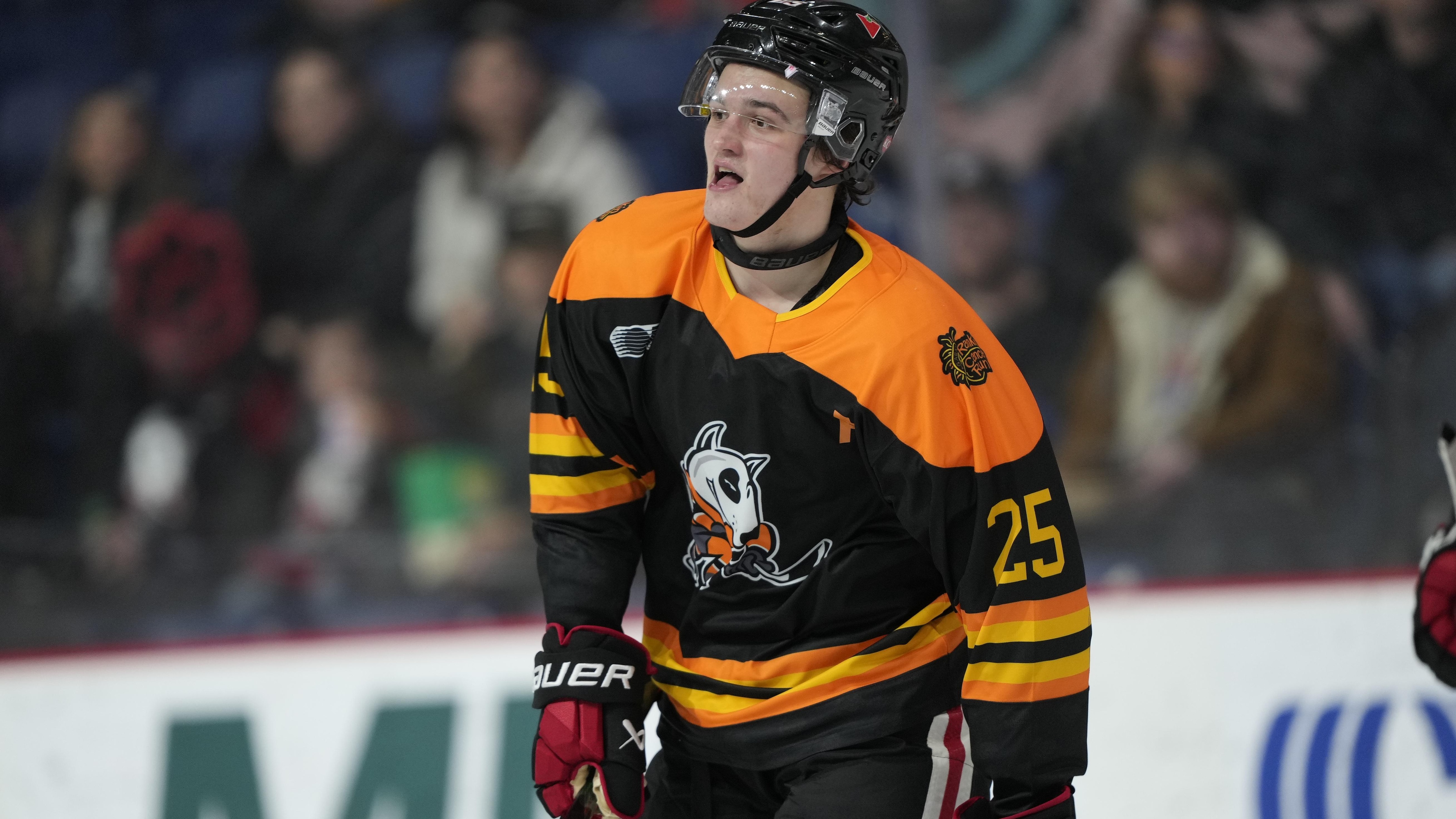 Brantford Bulldogs v Niagara IceDogs