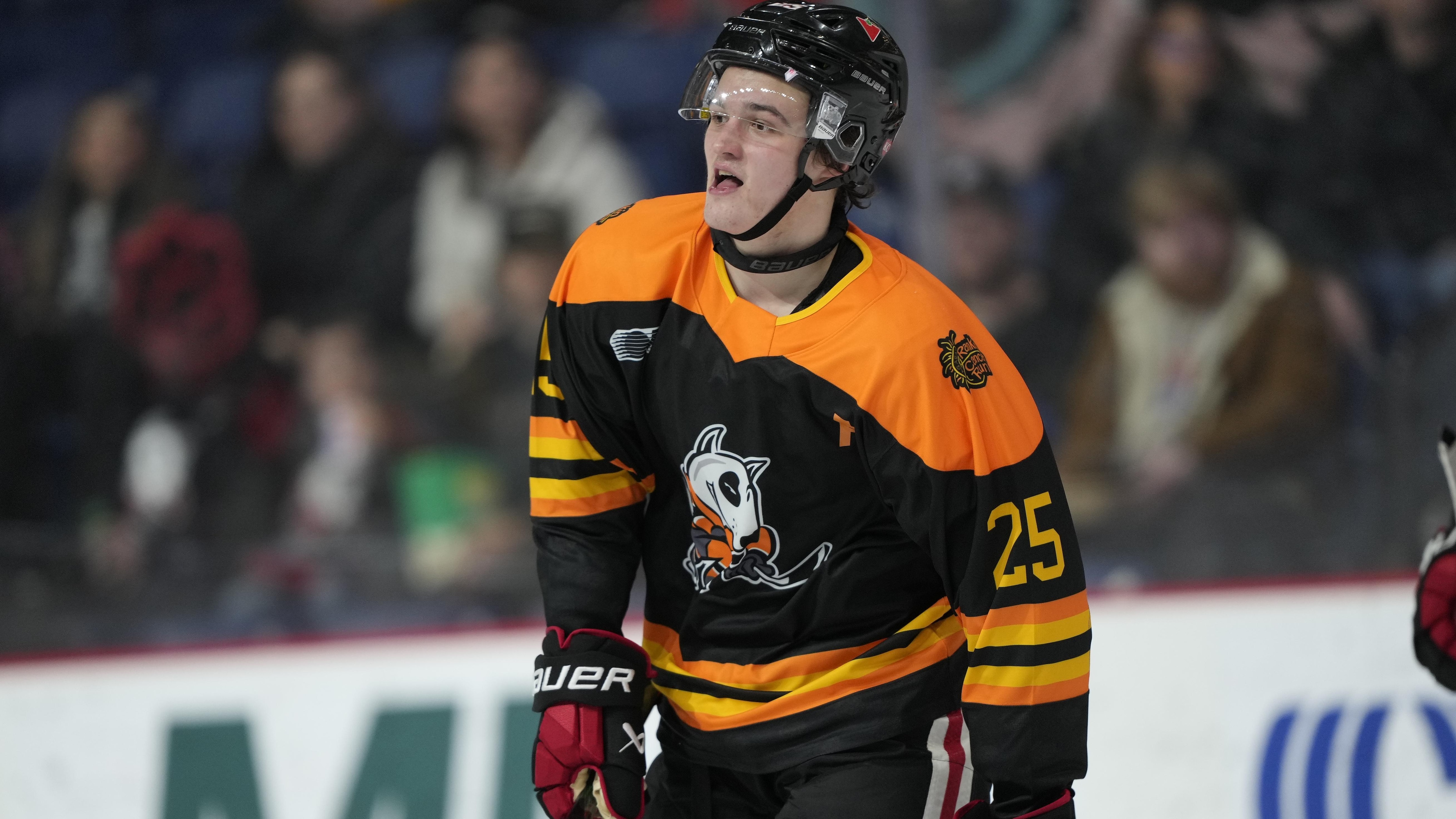 Stock Up and Stock Down on Prospects in Latest 2026 NHL Mock Draft
