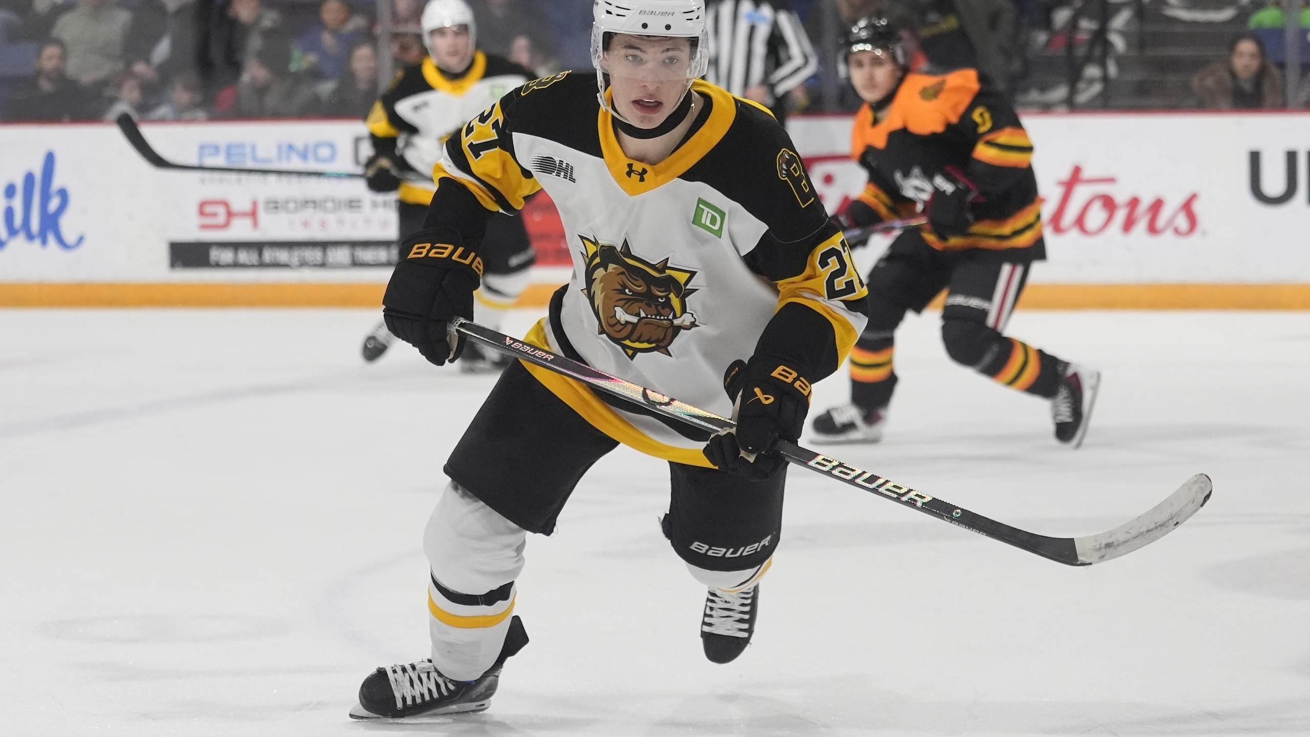 Brantford Bulldogs v Niagara IceDogs Brantford Bulldogs v Niagara IceDogs