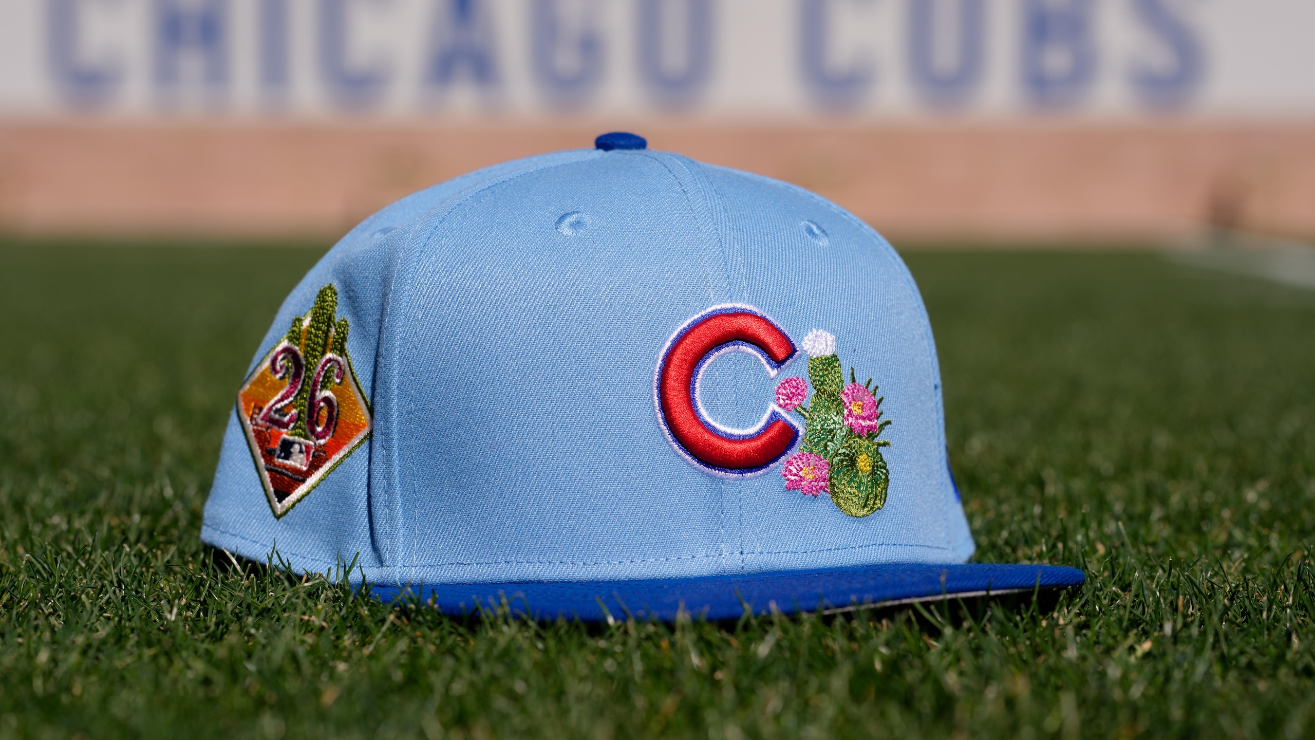 Chicago Cubs Spring Training 2026