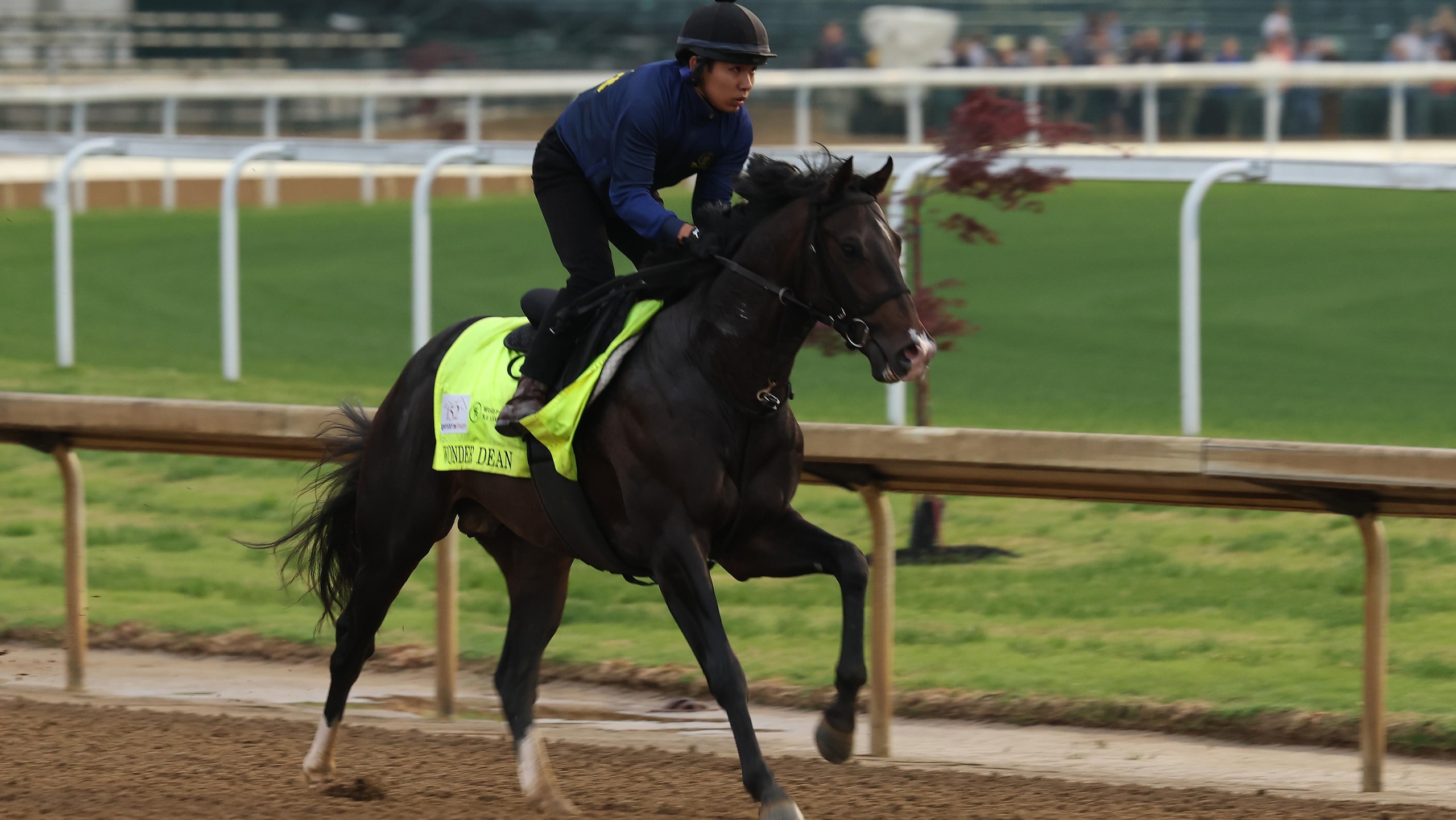 152nd Kentucky Derby - Previews