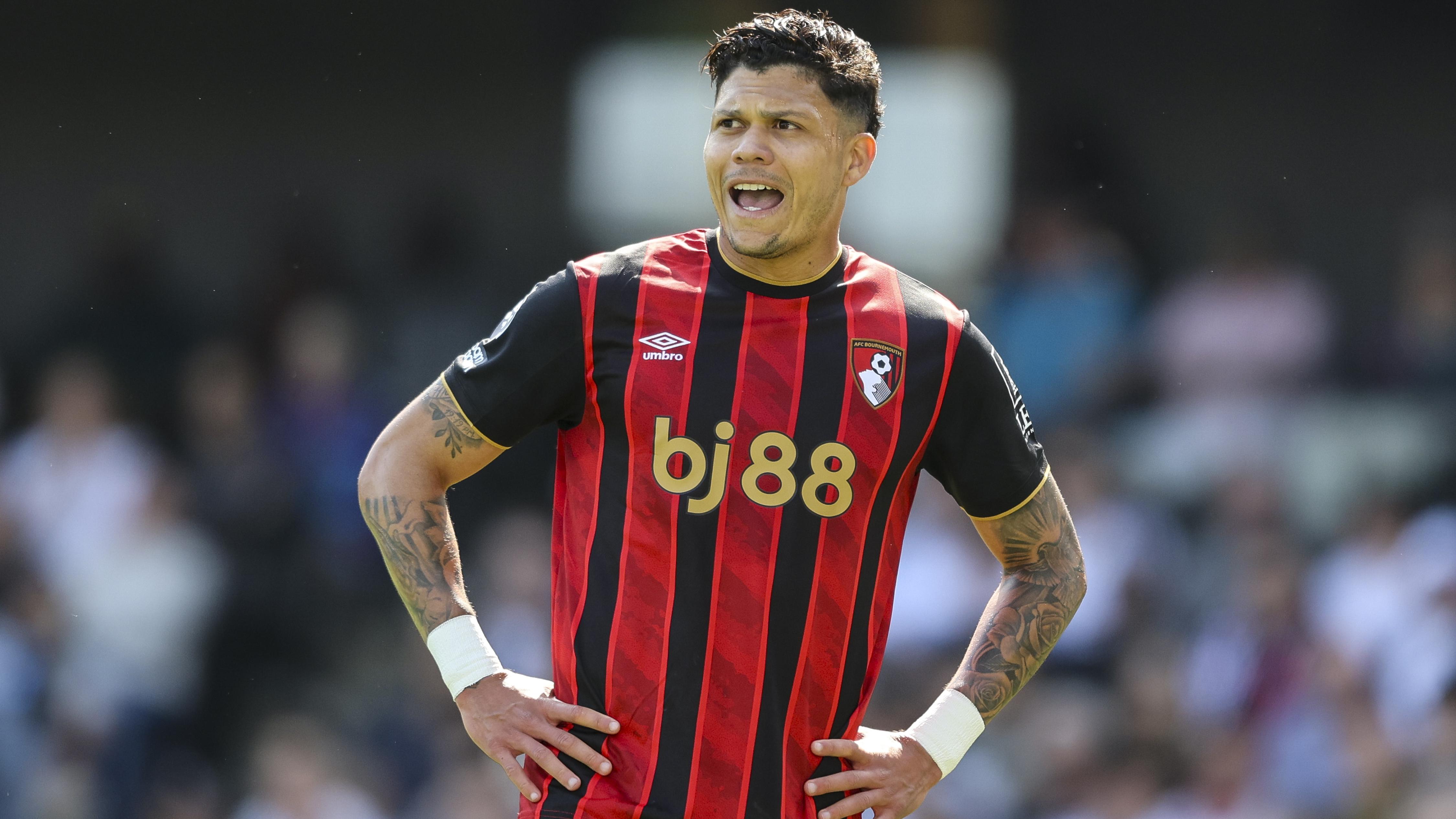 Fulham v Bournemouth - Premier League