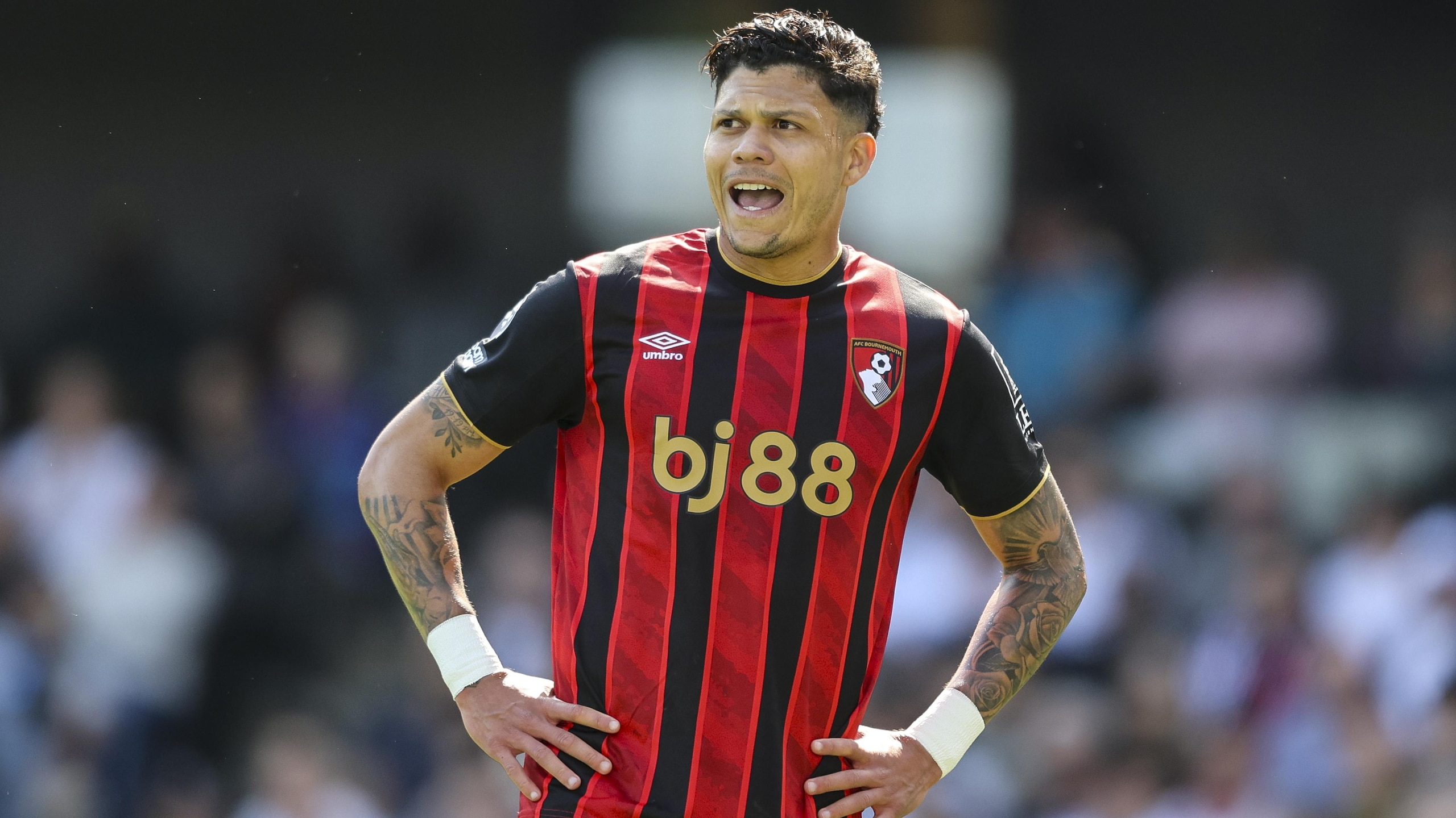 Fulham v Bournemouth - Premier League