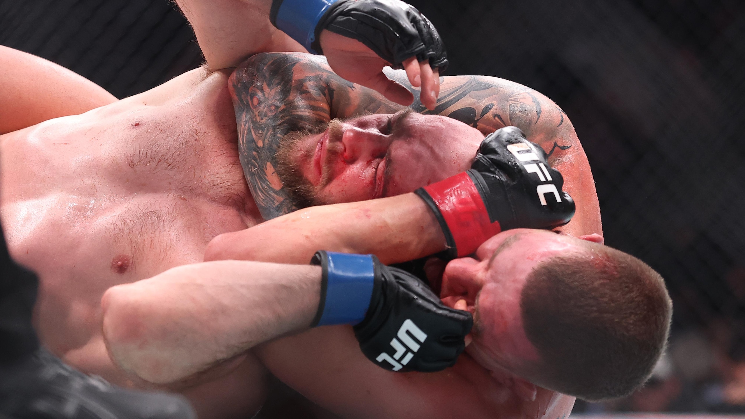 UFC 328: Dawson v Rebecki