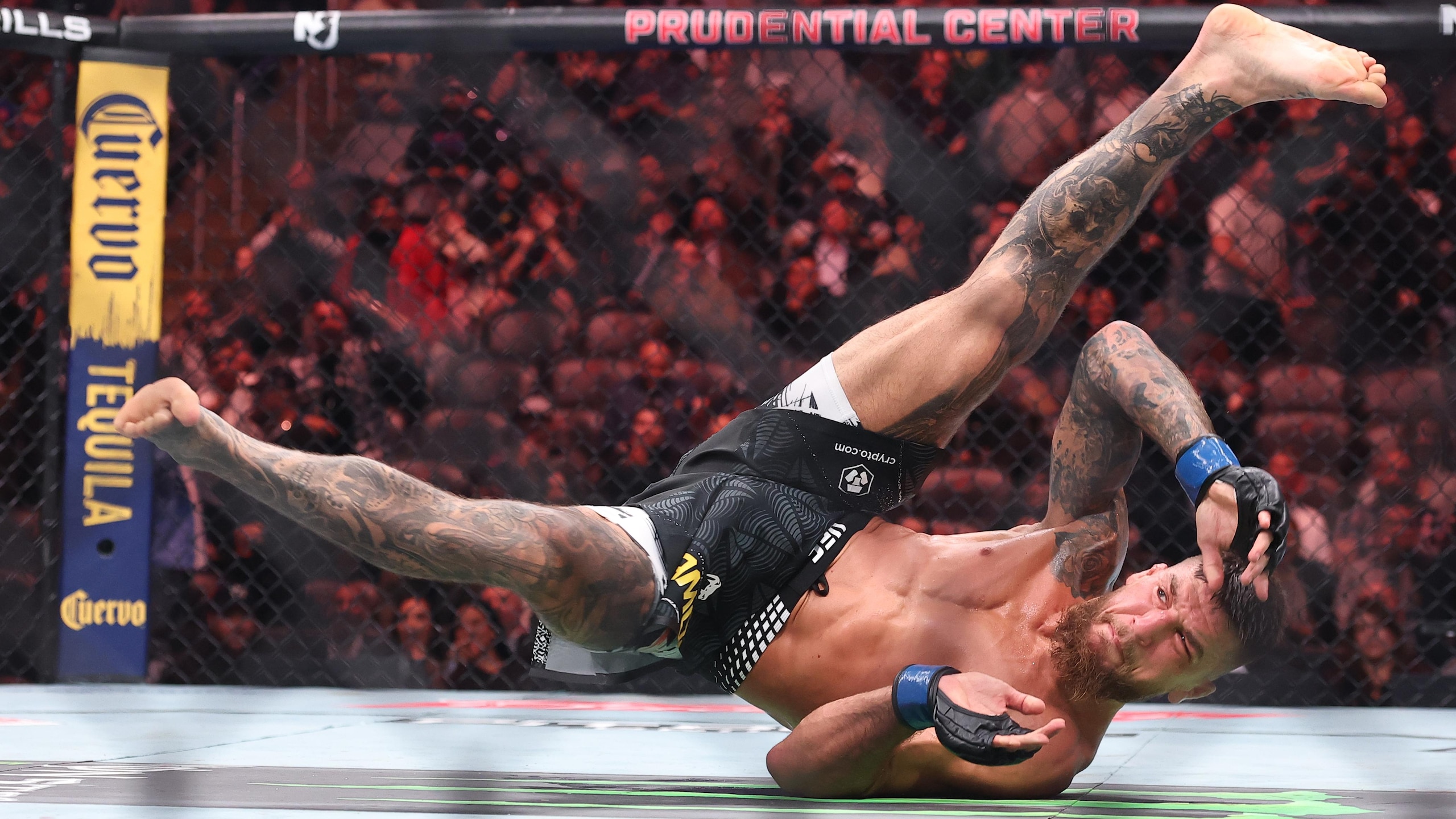 UFC 328: Alvarez v Amosov
