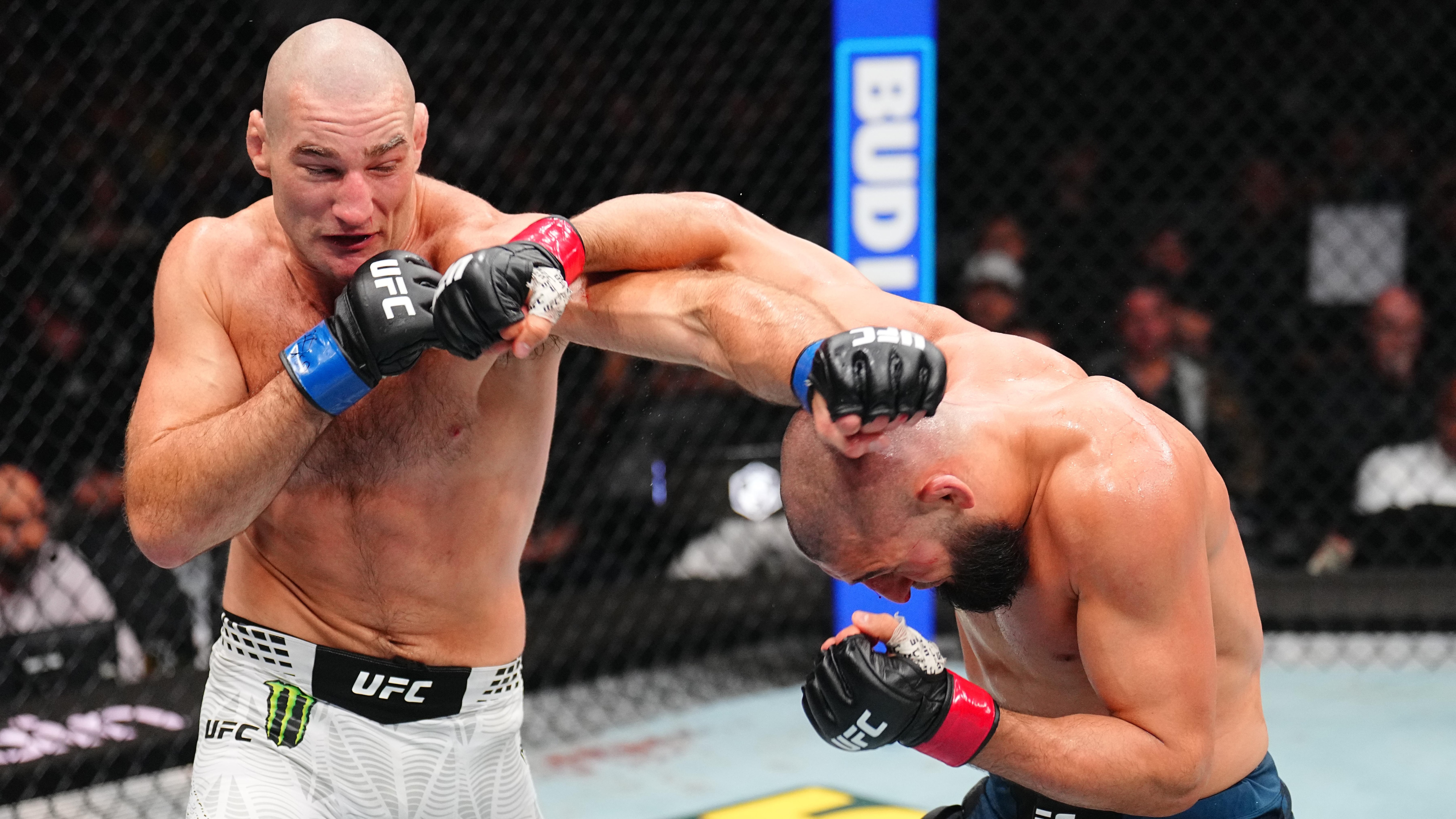 UFC 328: Chimaev v Strickland