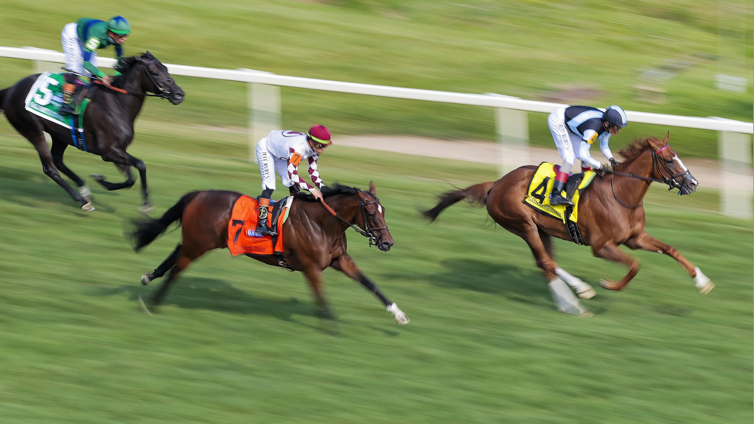 151st Preakness Stakes