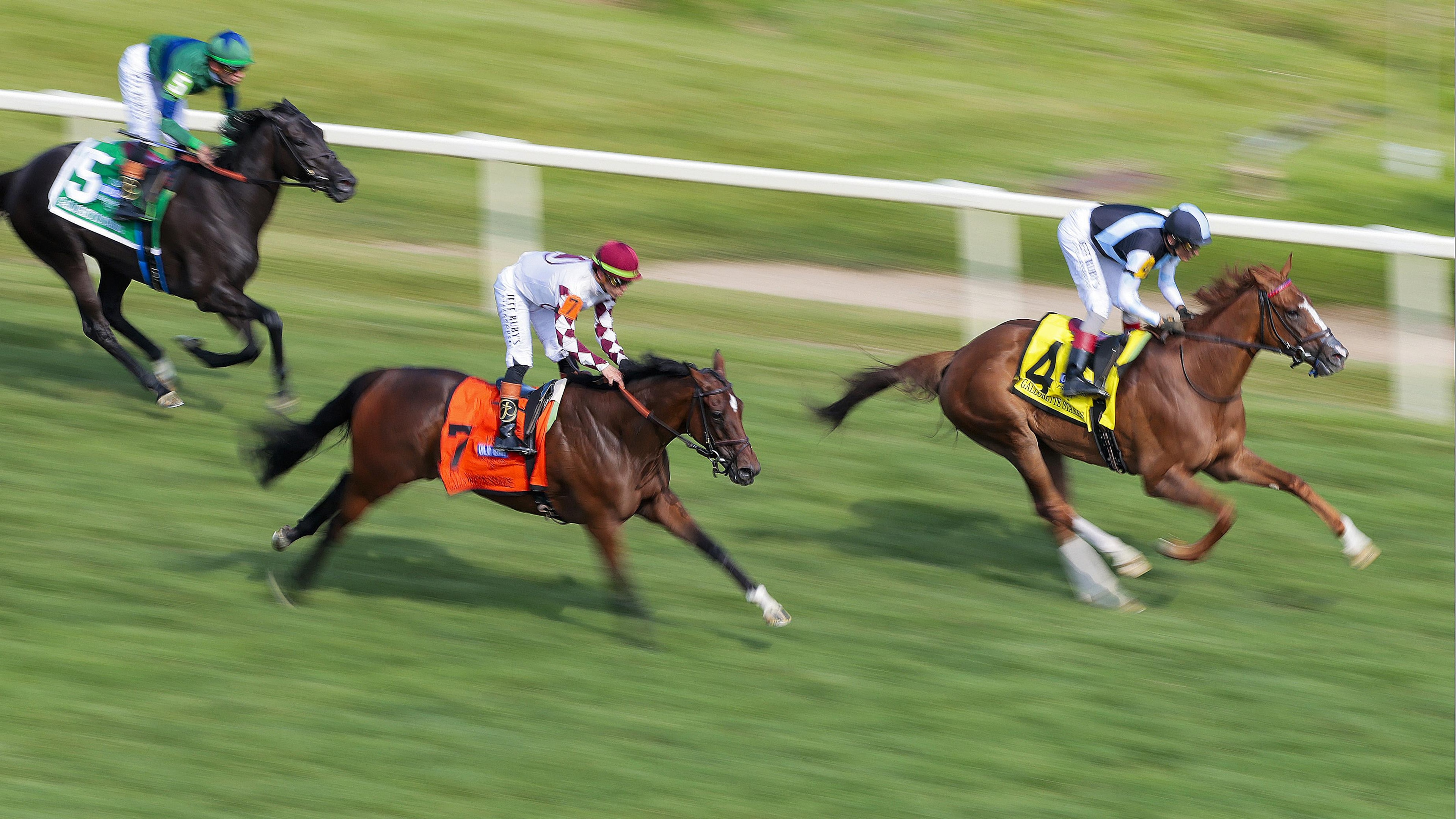 151st Preakness Stakes 151st Preakness Stakes