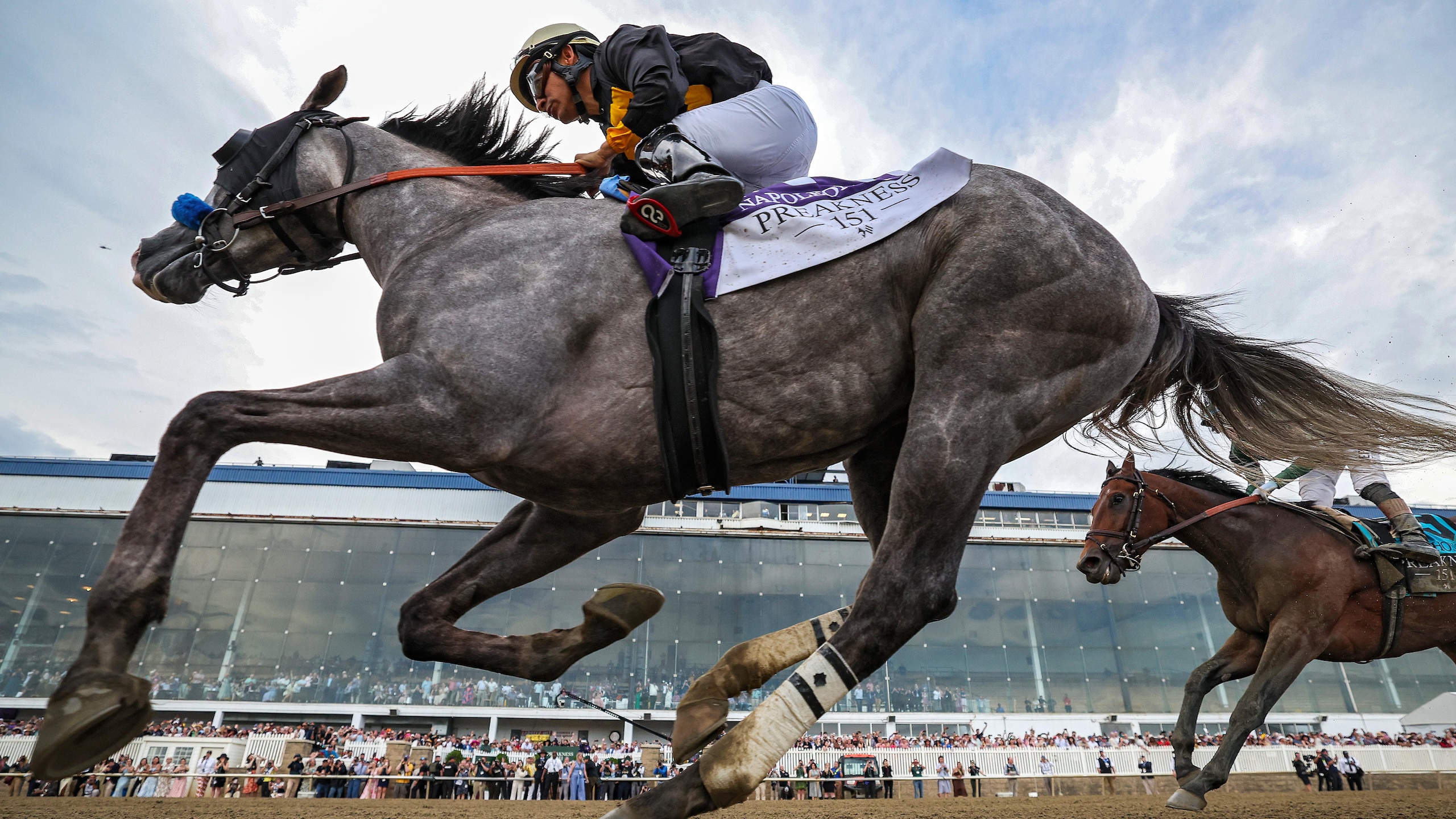 151st Preakness Stakes
