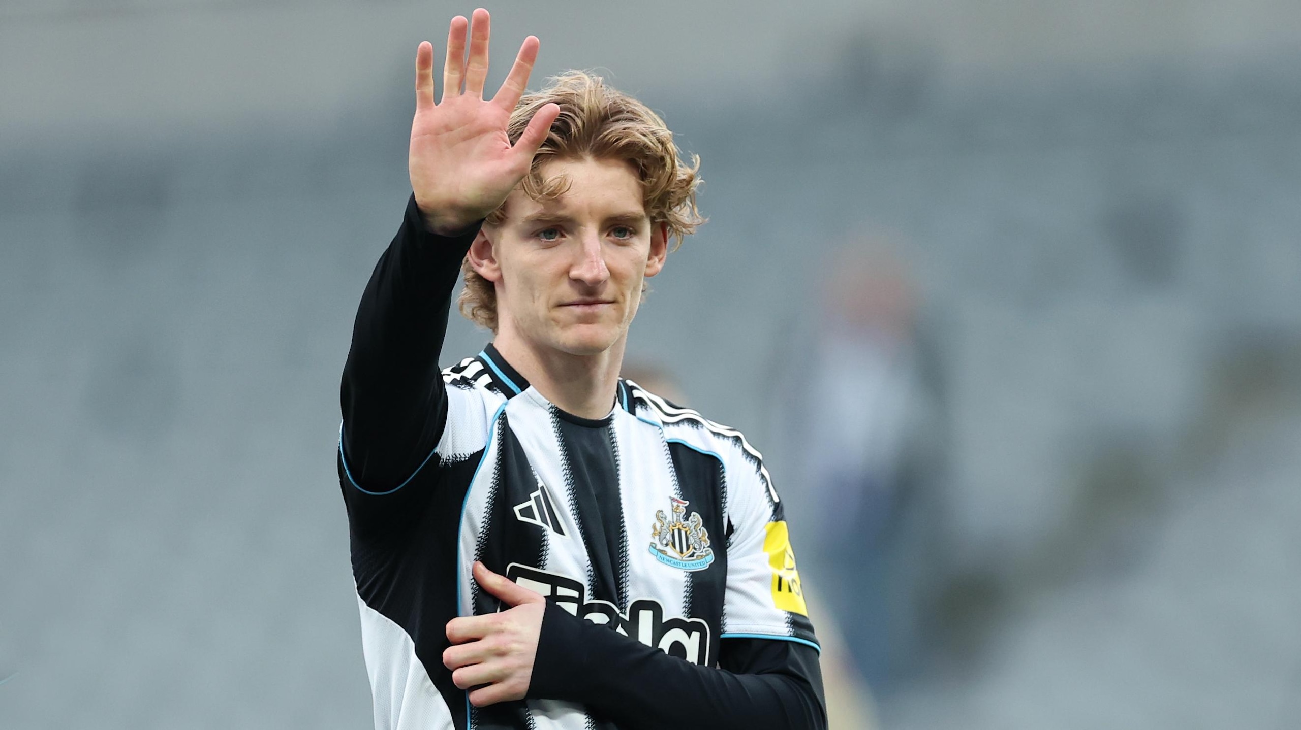 Newcastle United v West Ham United - Premier League