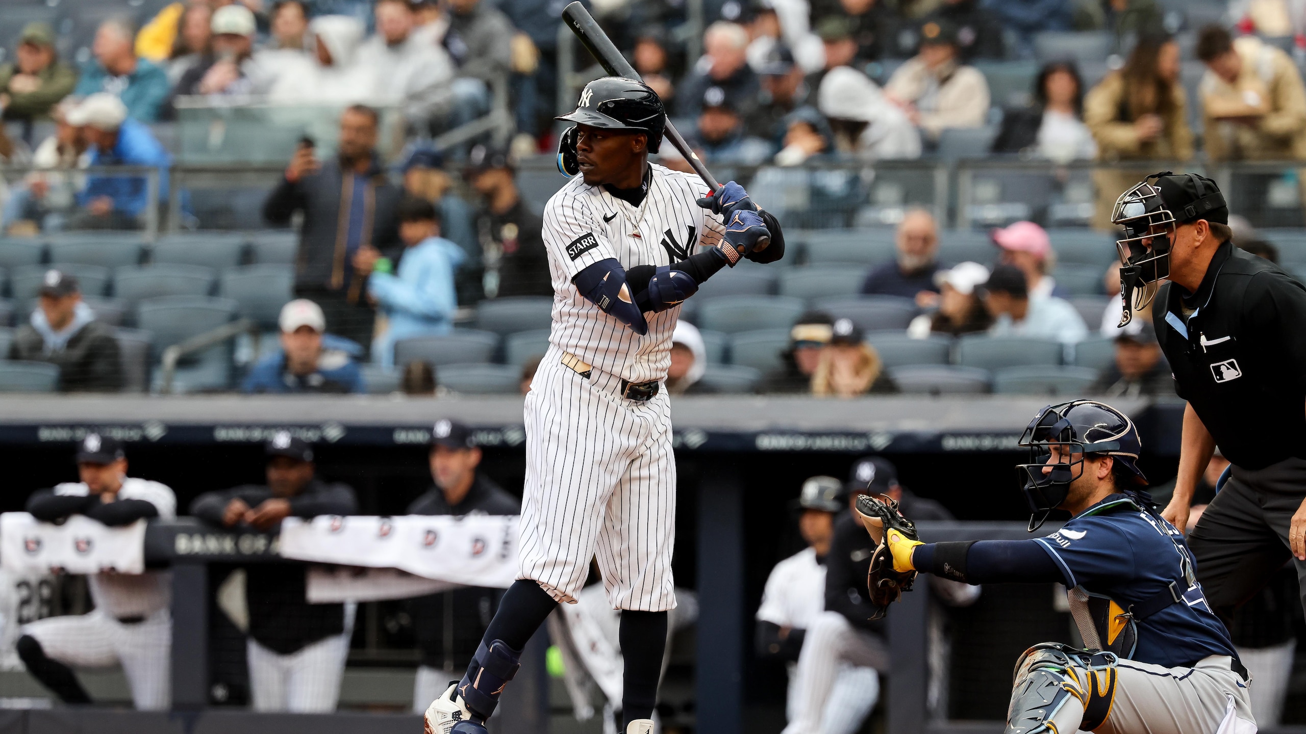 MLB: MAY 24 Rays at Yankees