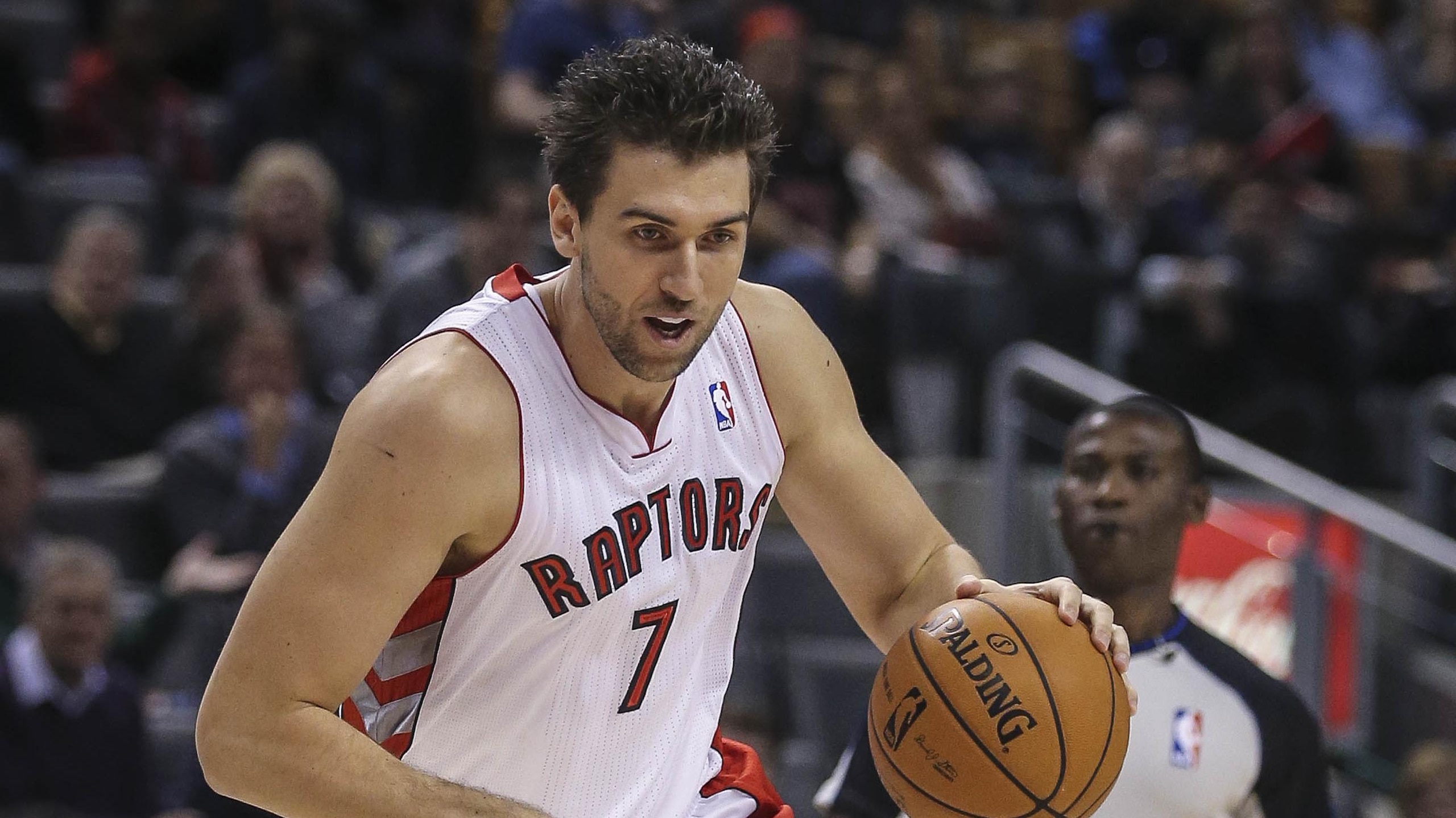 Toronto Raptors Basketball