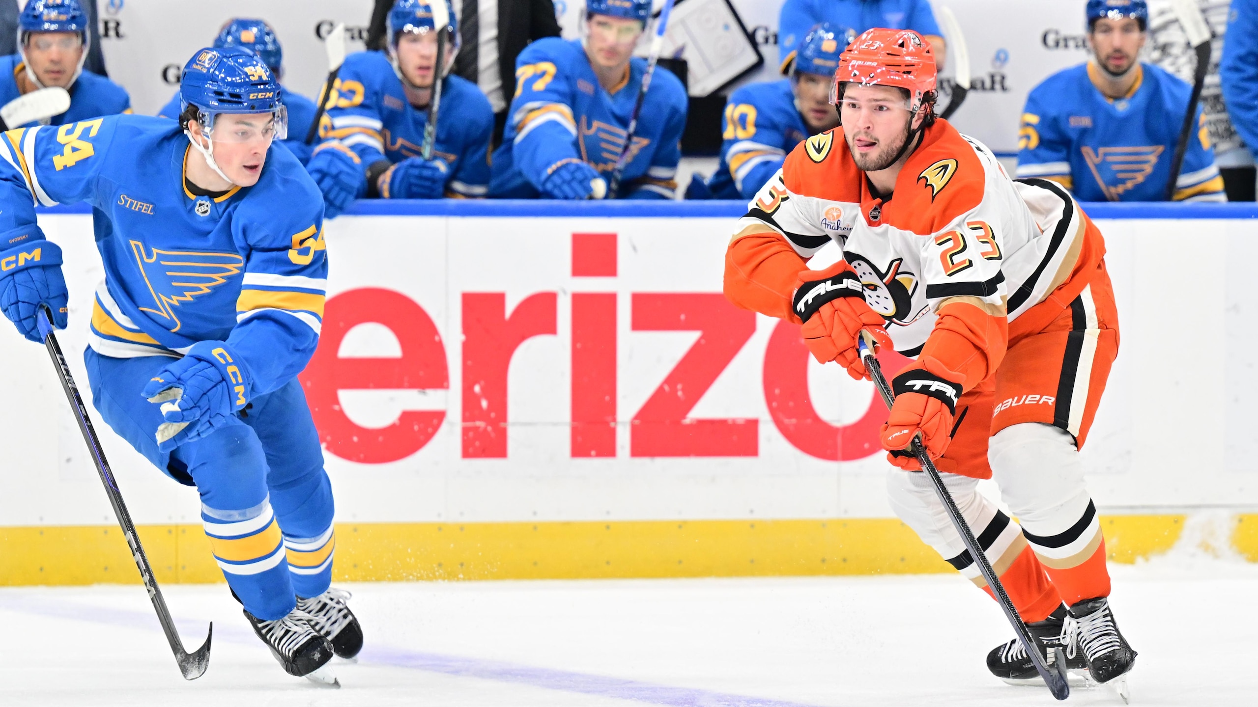 NHL: DEC 01 Ducks at Blues