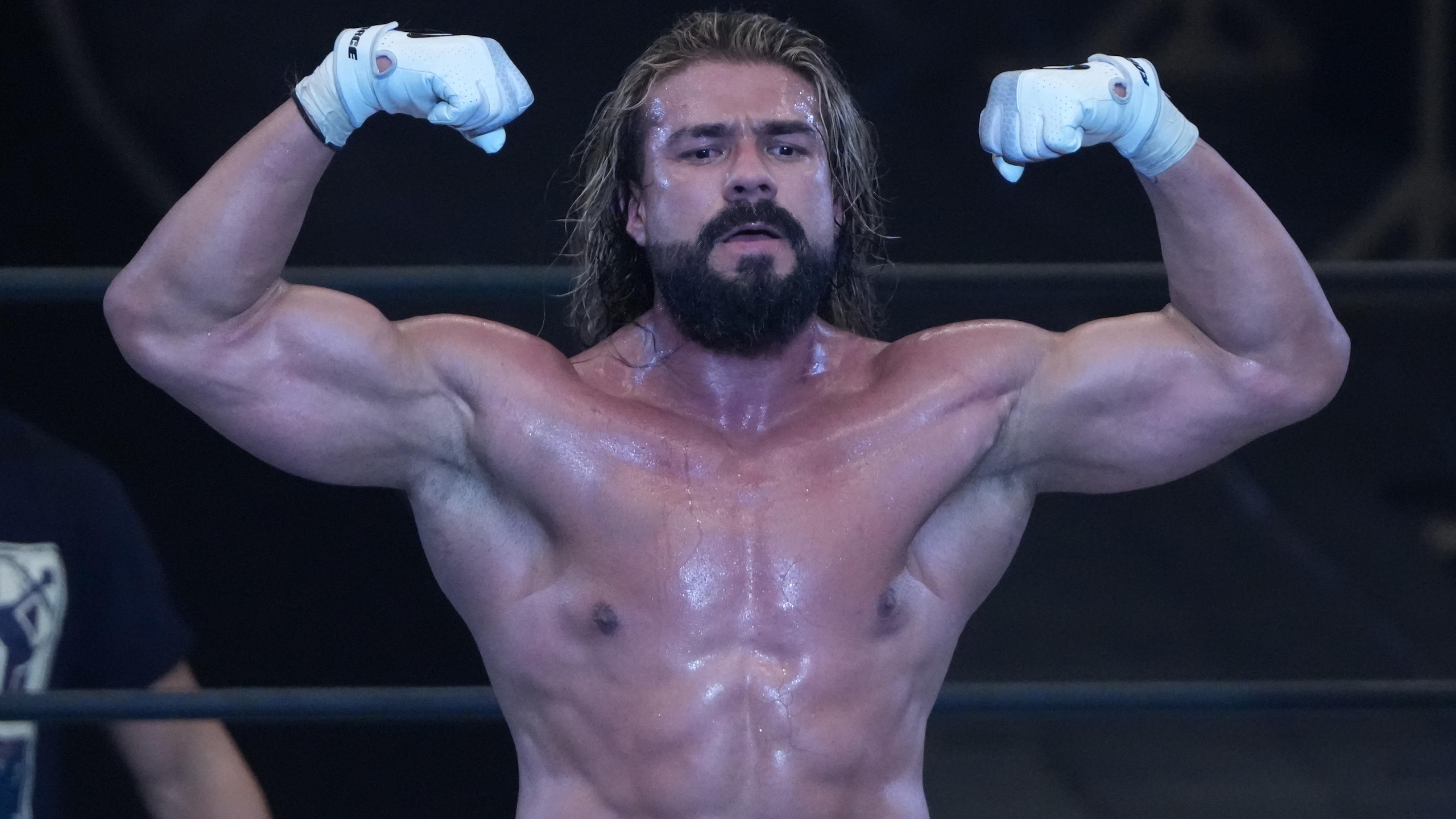 New Japan Pro-Wrestling