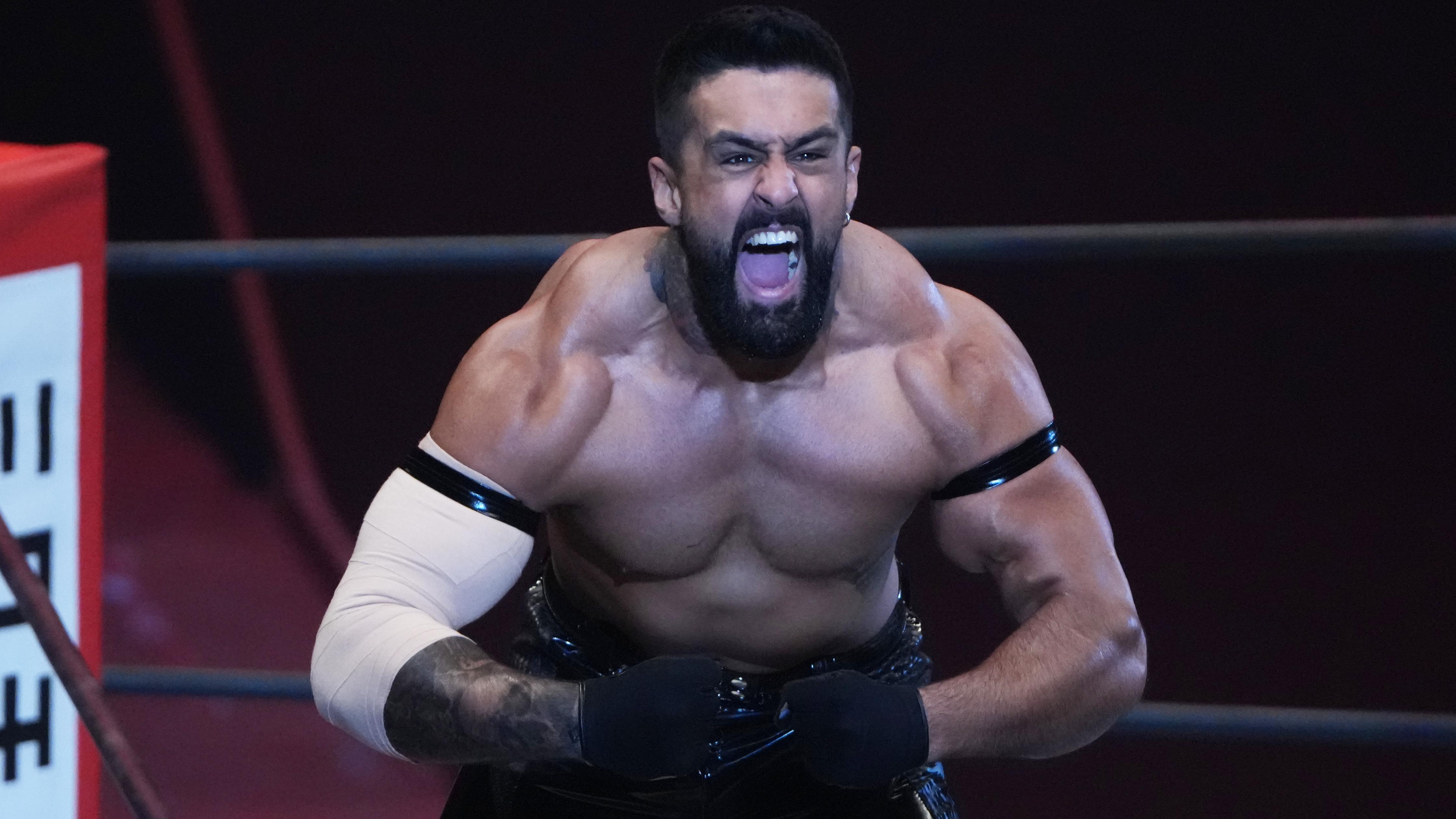 New Japan Pro-Wrestling