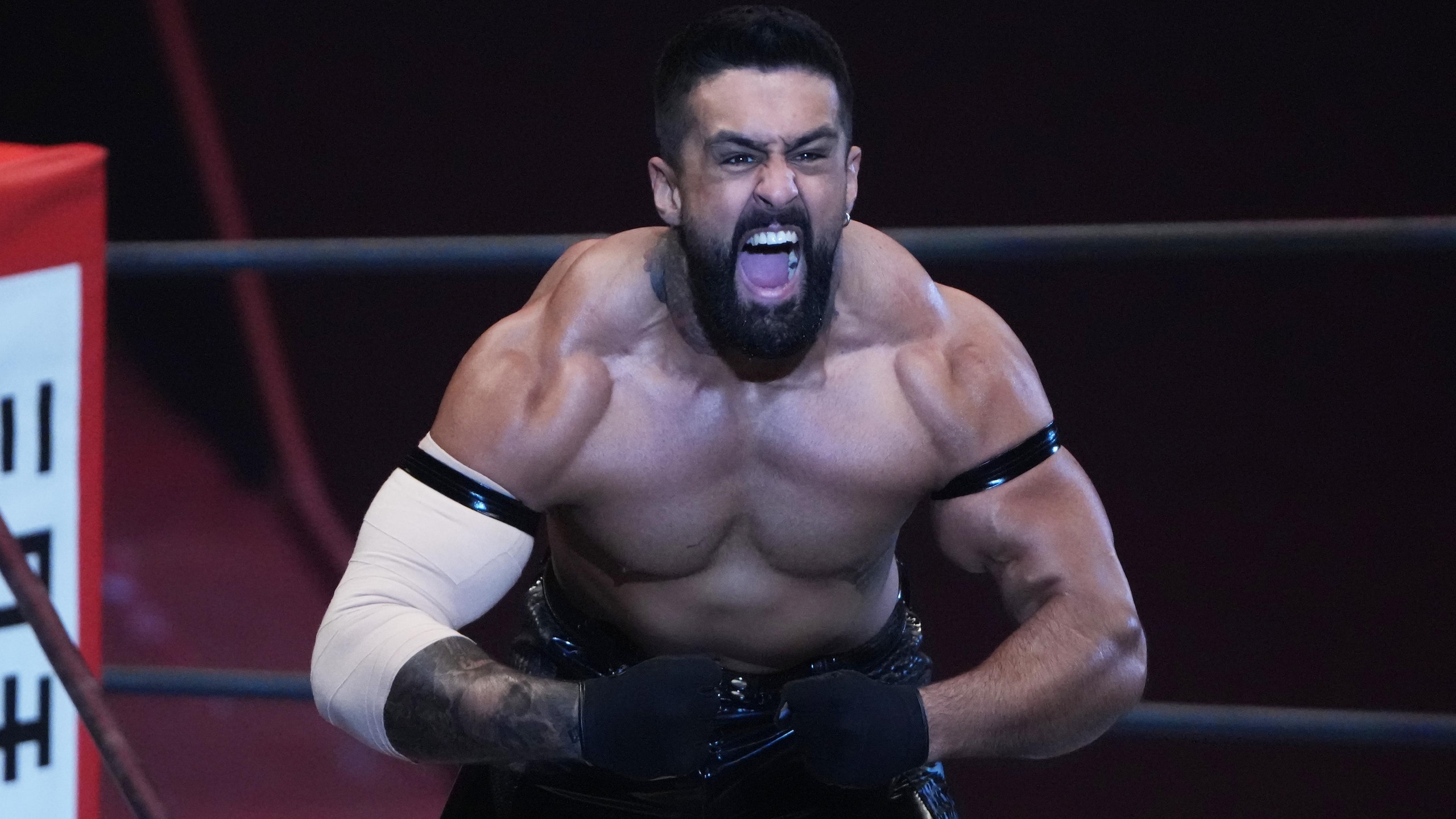 New Japan Pro-Wrestling