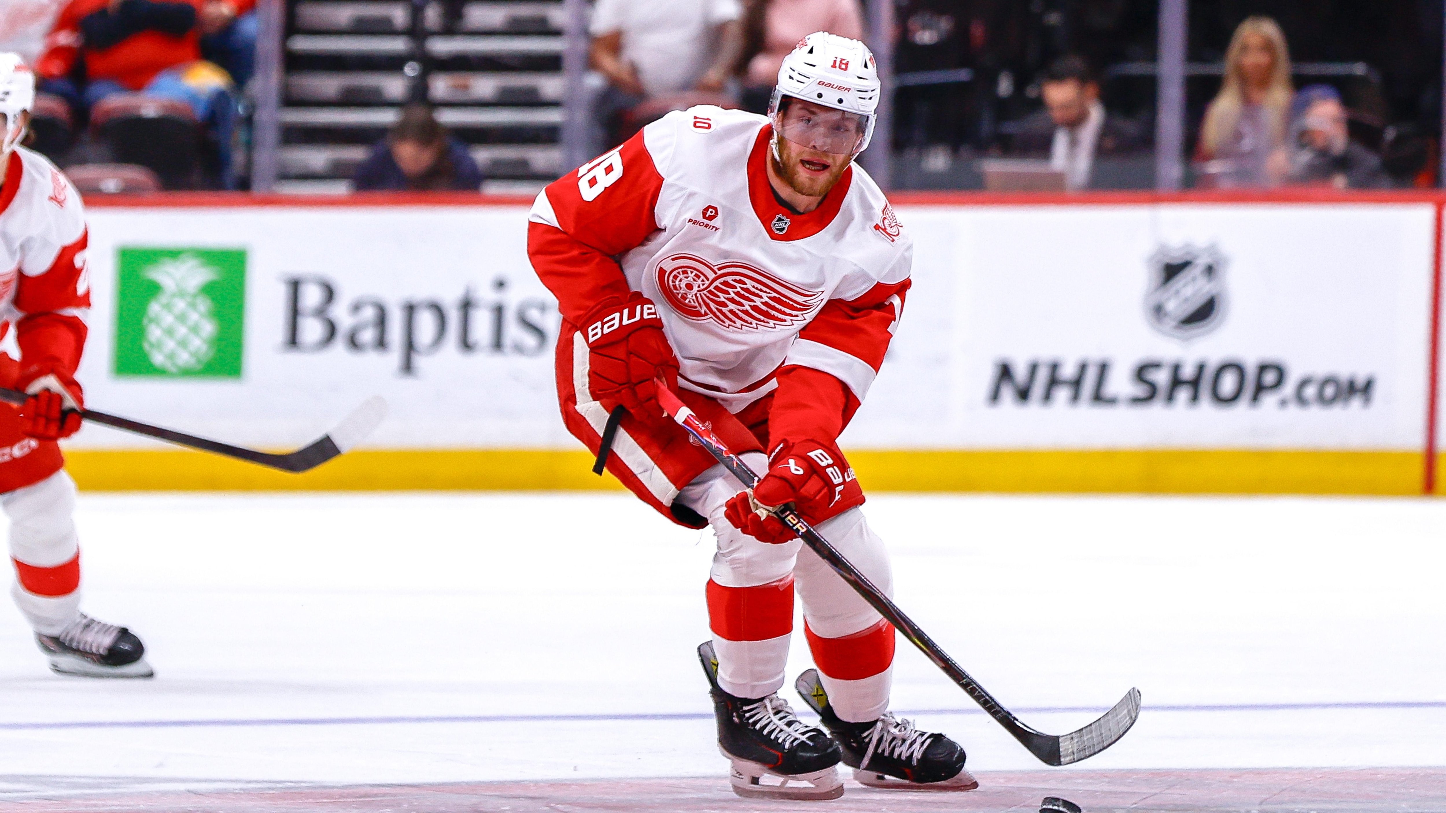 NHL: APR 15 Red Wings at Panthers