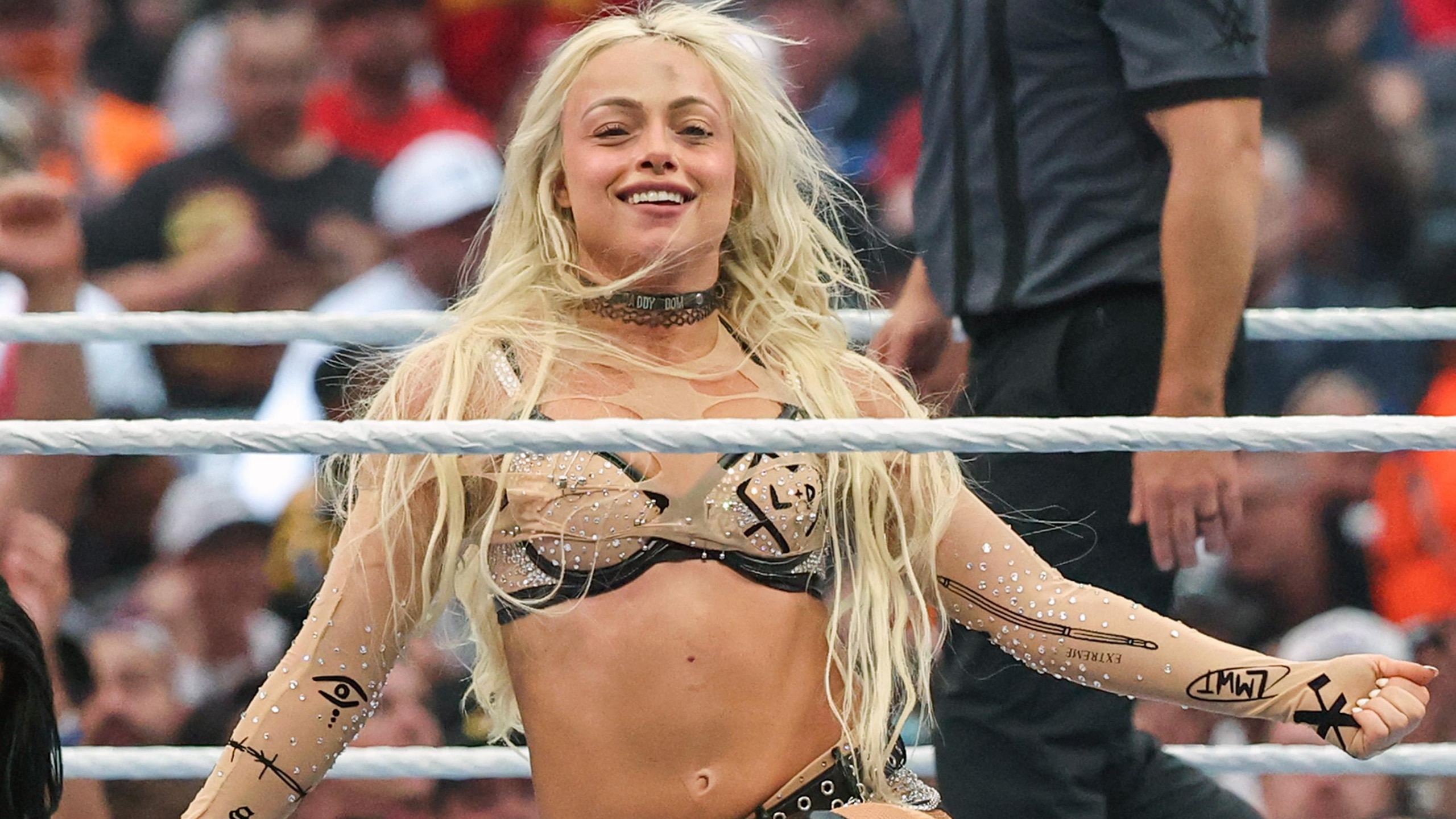 WrestleMania 42 WrestleMania 42