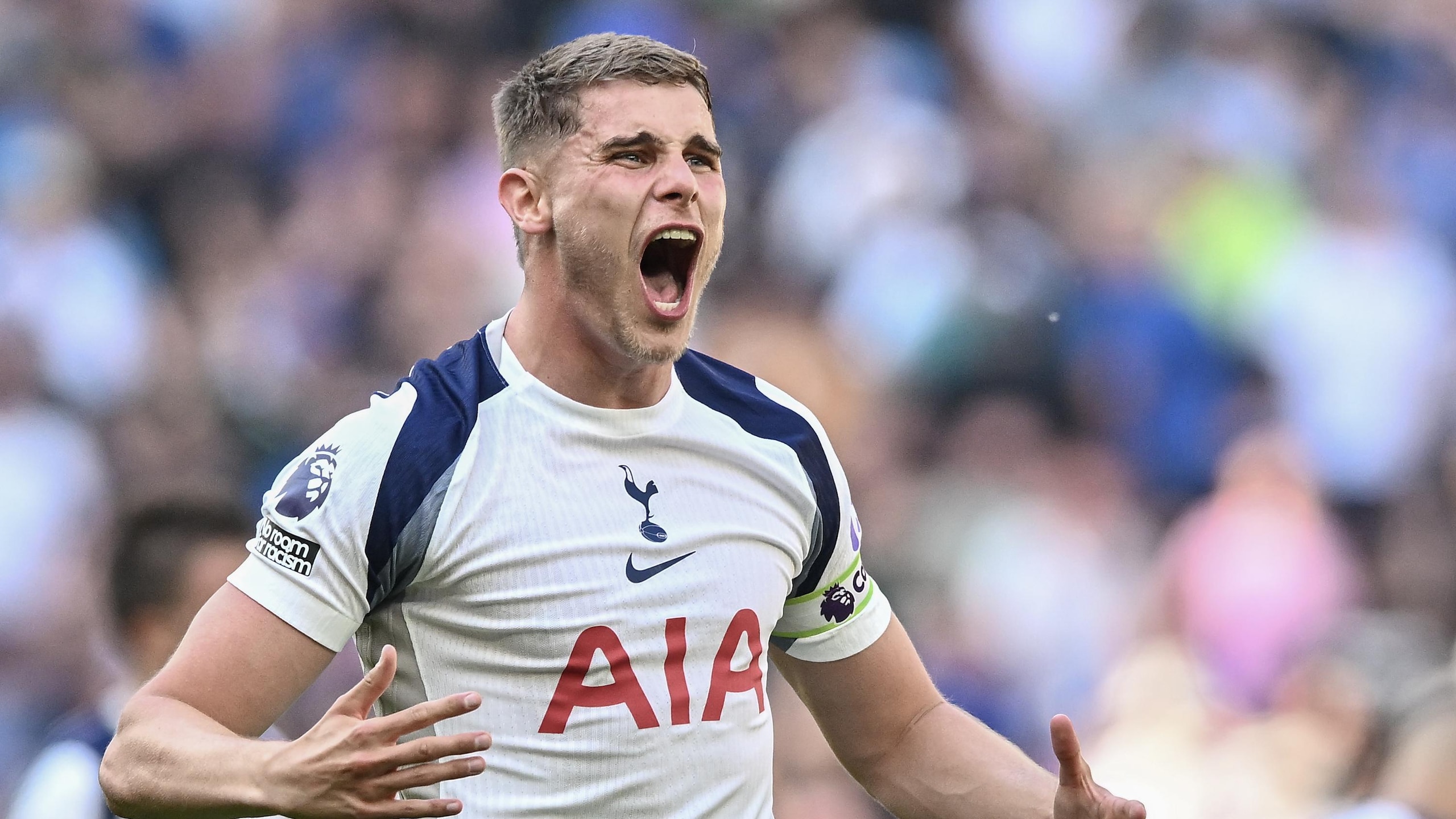 Tottenham Hotspur v Everton - Premier League