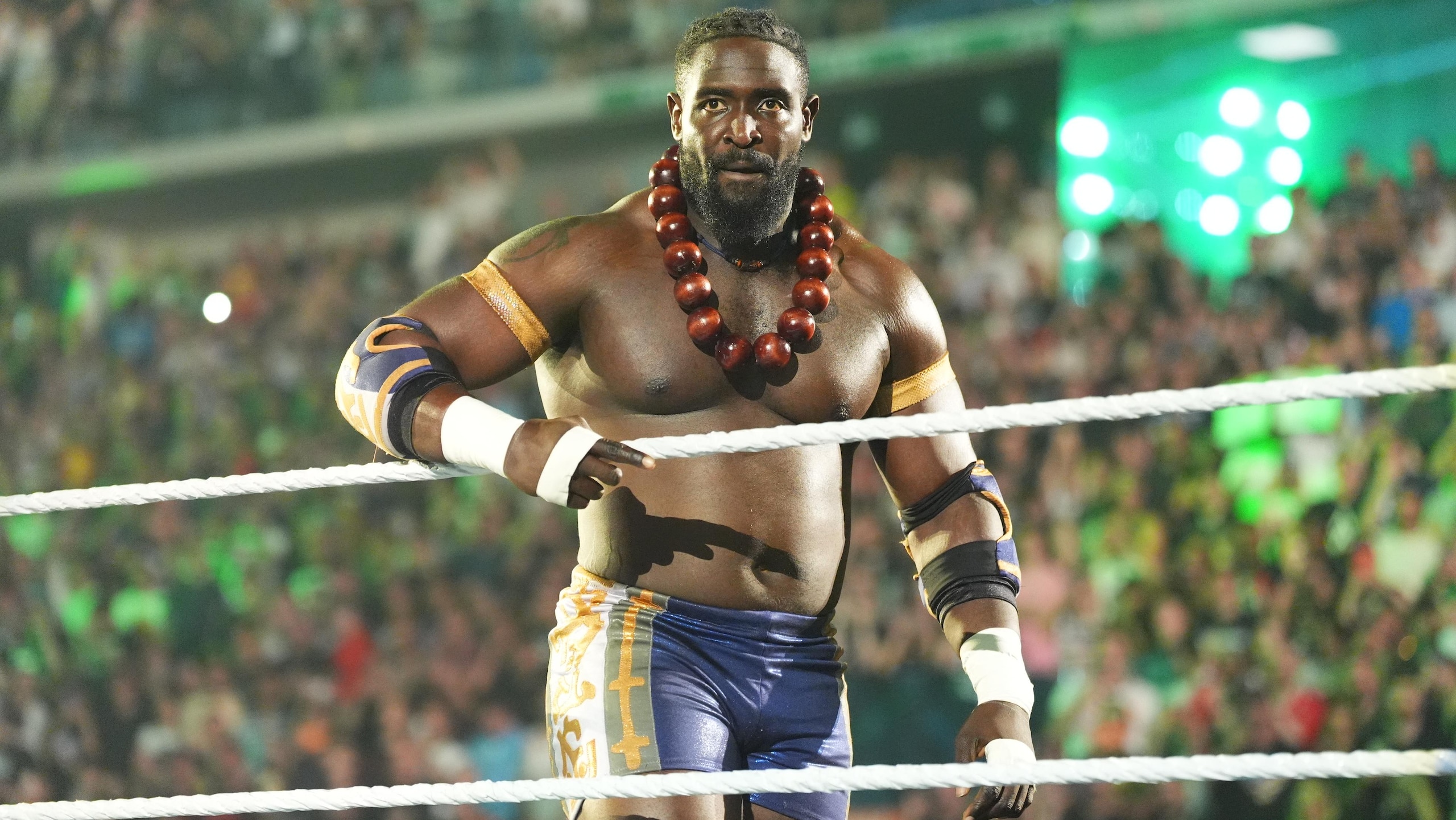 WWE: Saturday Night's Main Event
