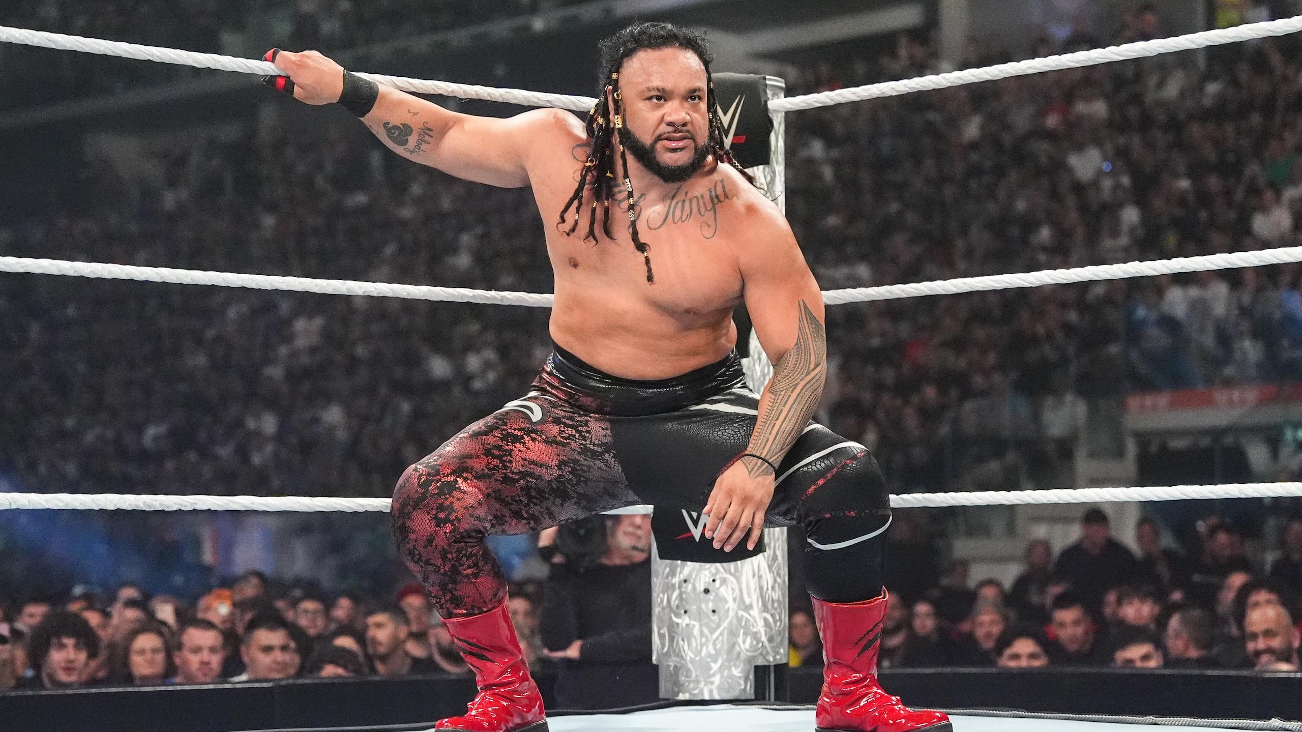 WWE: Saturday Night's Main Event WWE: Saturday Night's Main Event