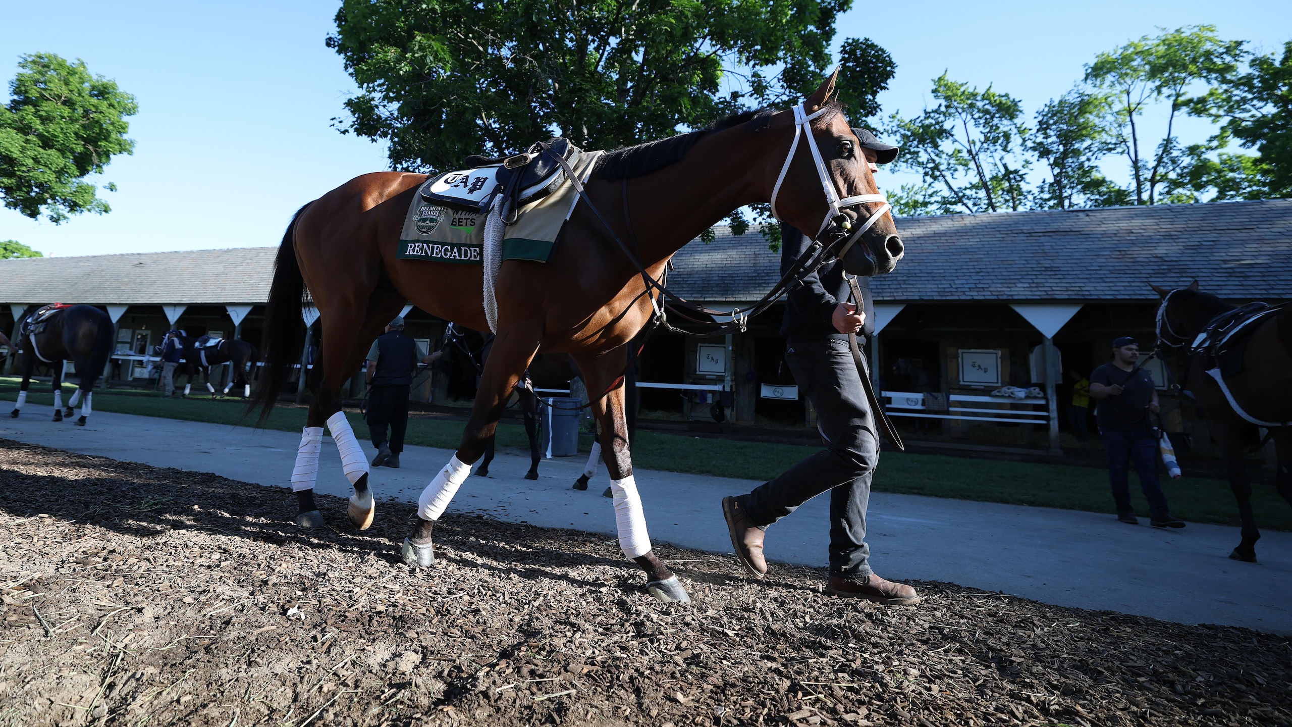 158th Belmont Stakes - Previews