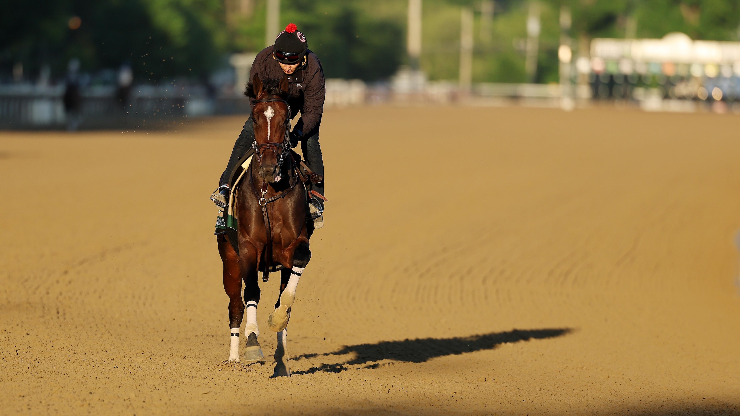 158th Belmont Stakes - Previews