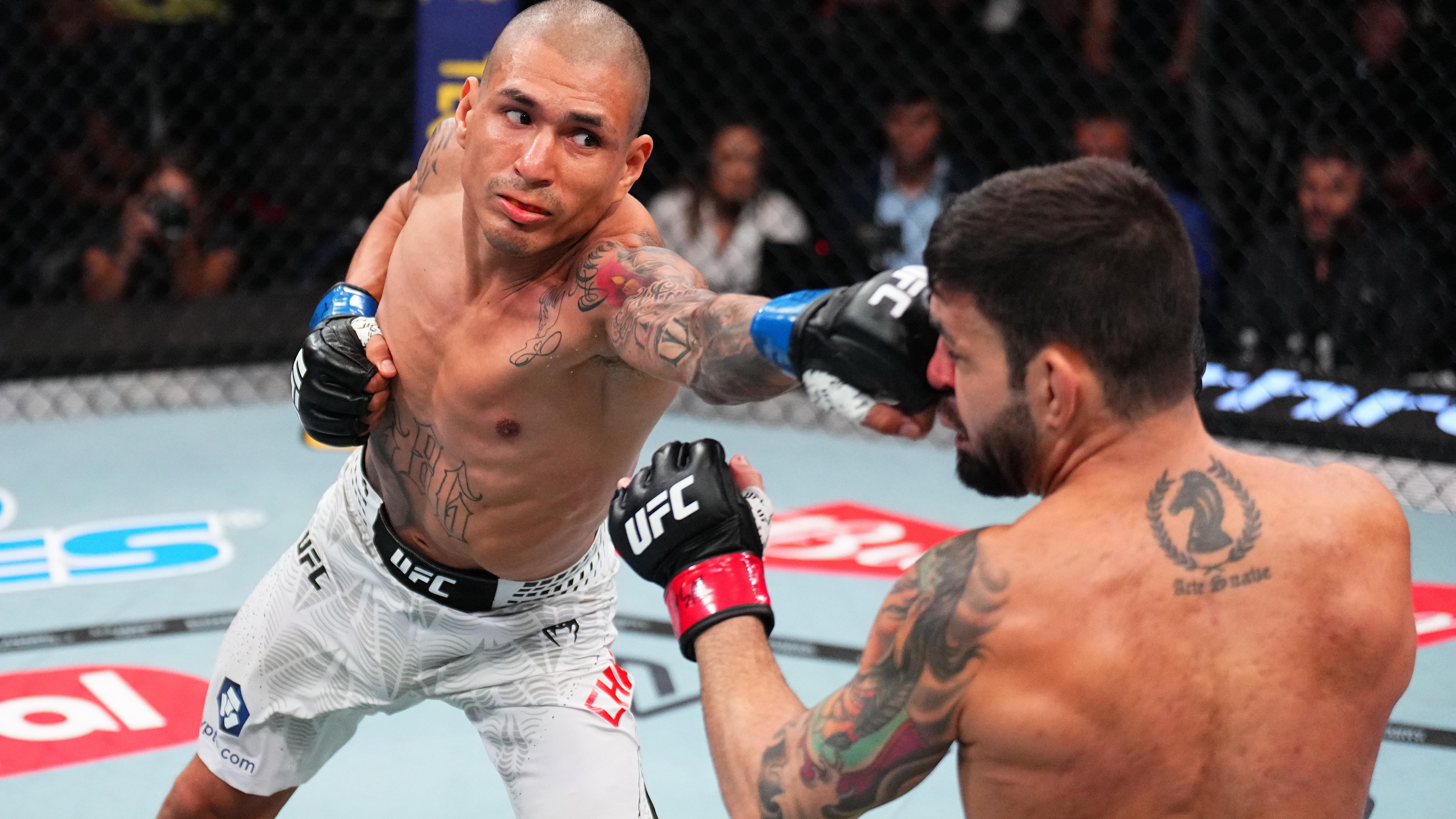 UFC Fight Night: Silva v Chairez