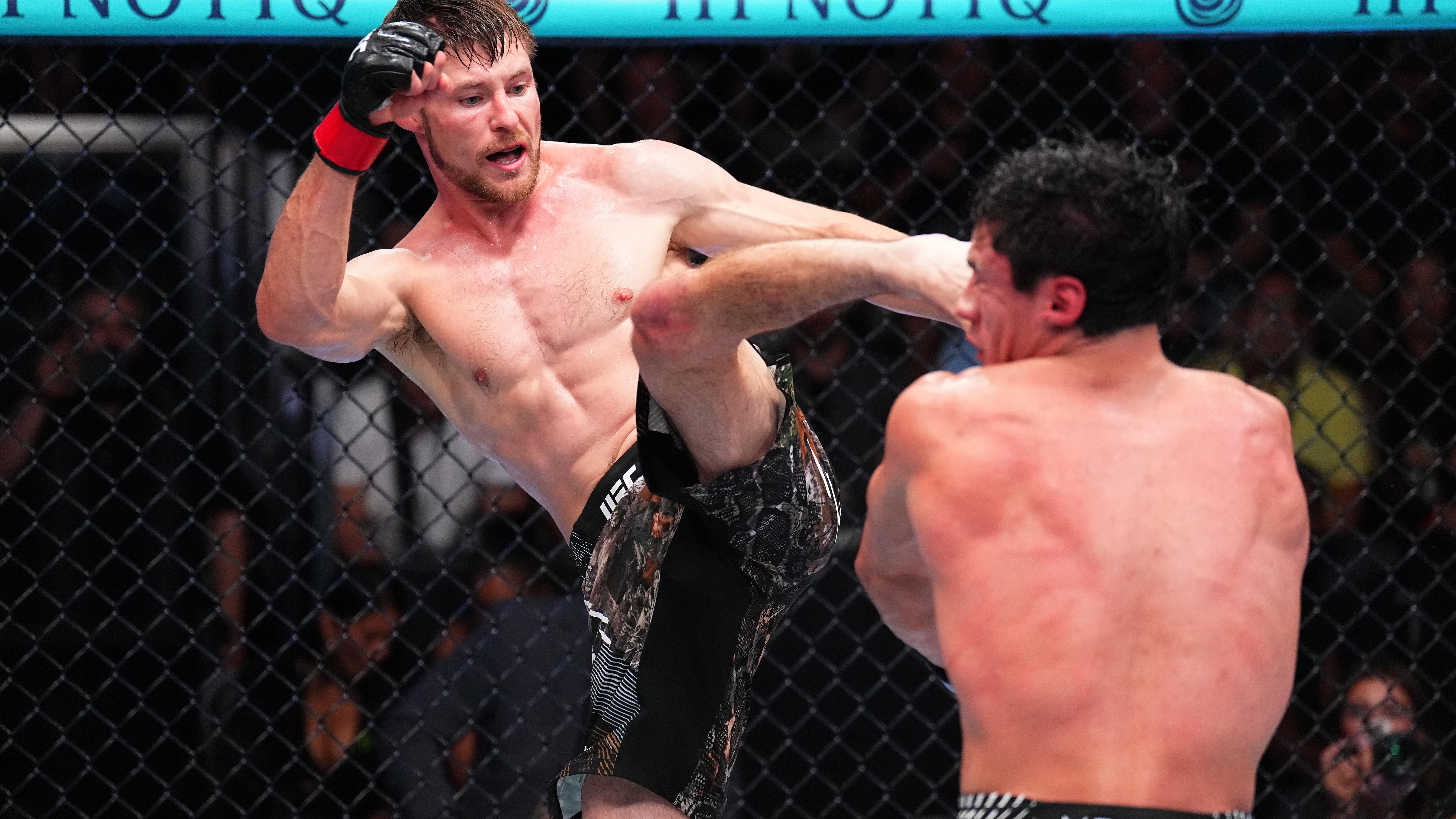 UFC Fight Night: Mitchell v Luna