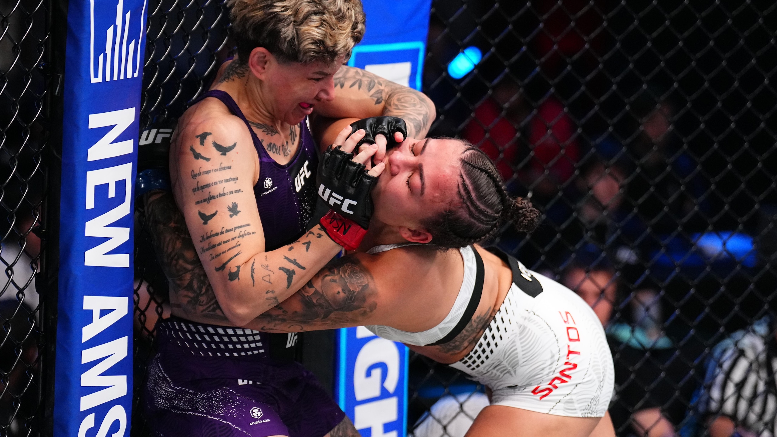 UFC Fight Night: Rosa v Santos