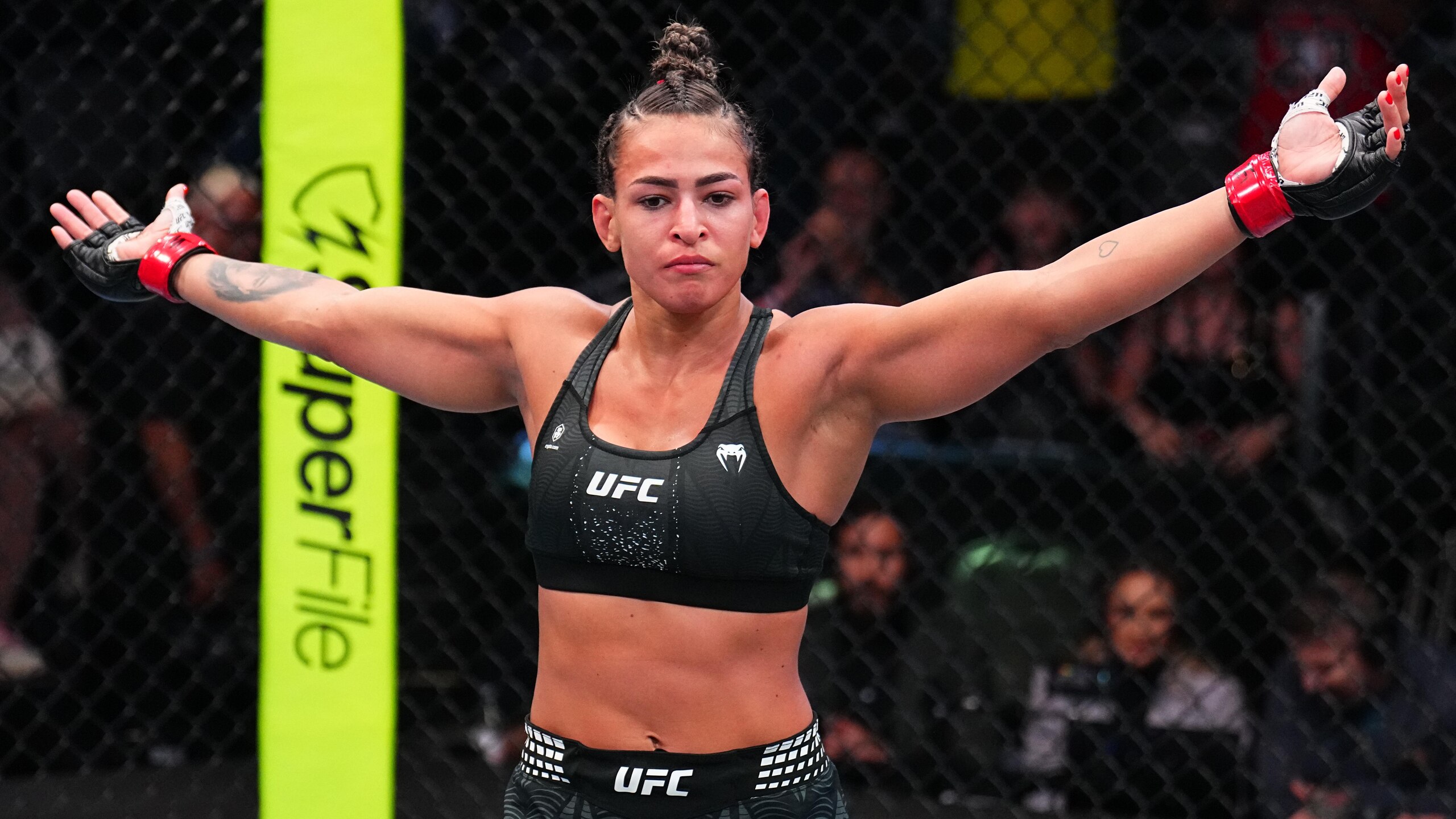 UFC Fight Night: Mesquita v Mullins
