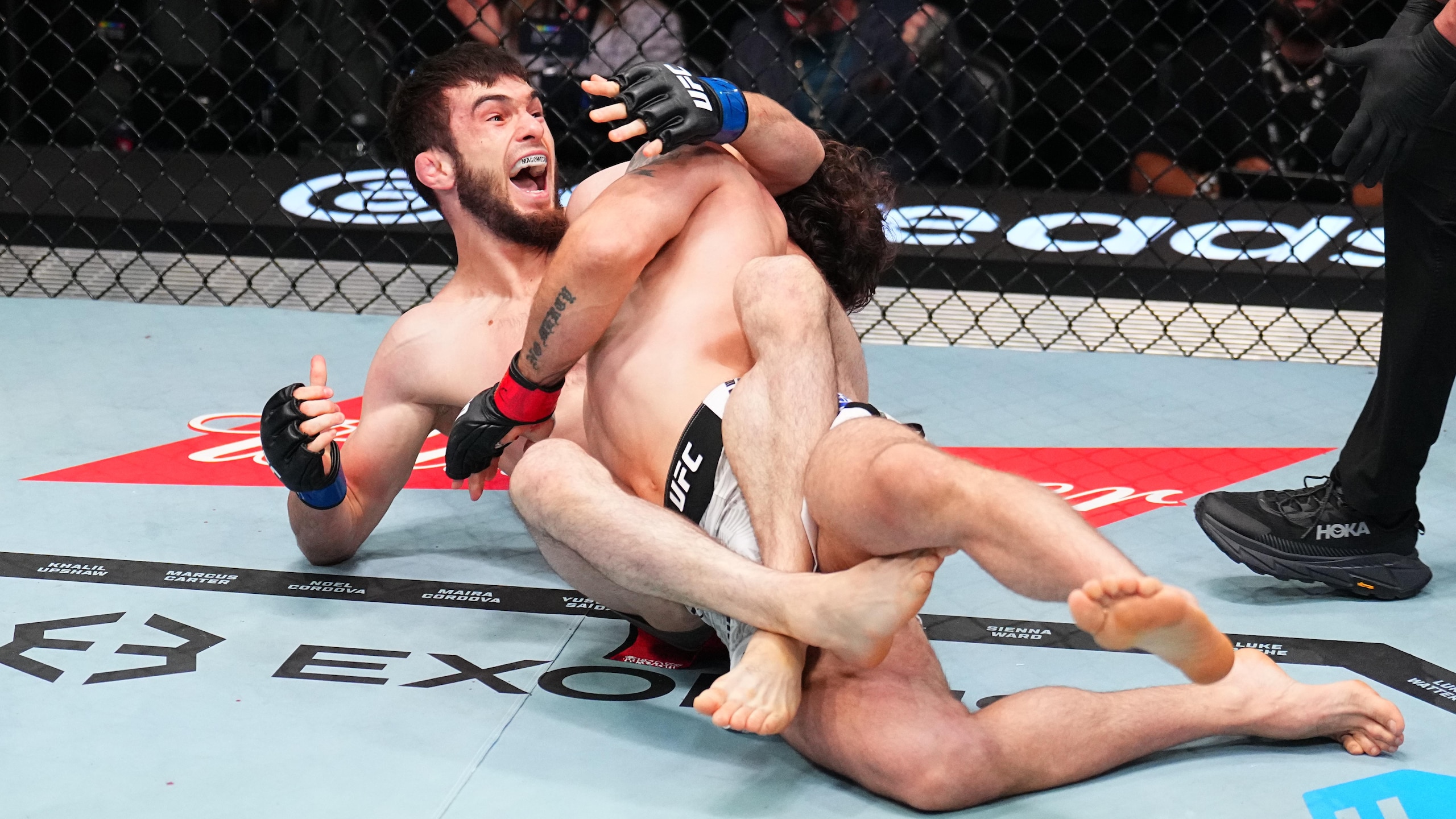 UFC Fight Night: Baghdasaryan v Magomedov