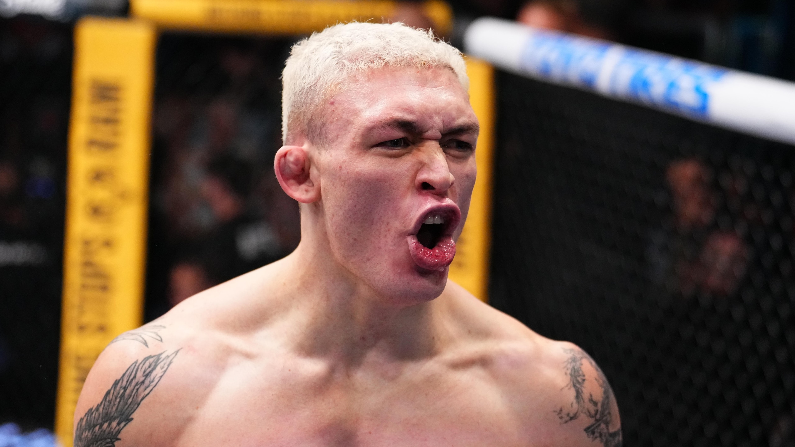 UFC Fight Night: Cutelaba v Stirling