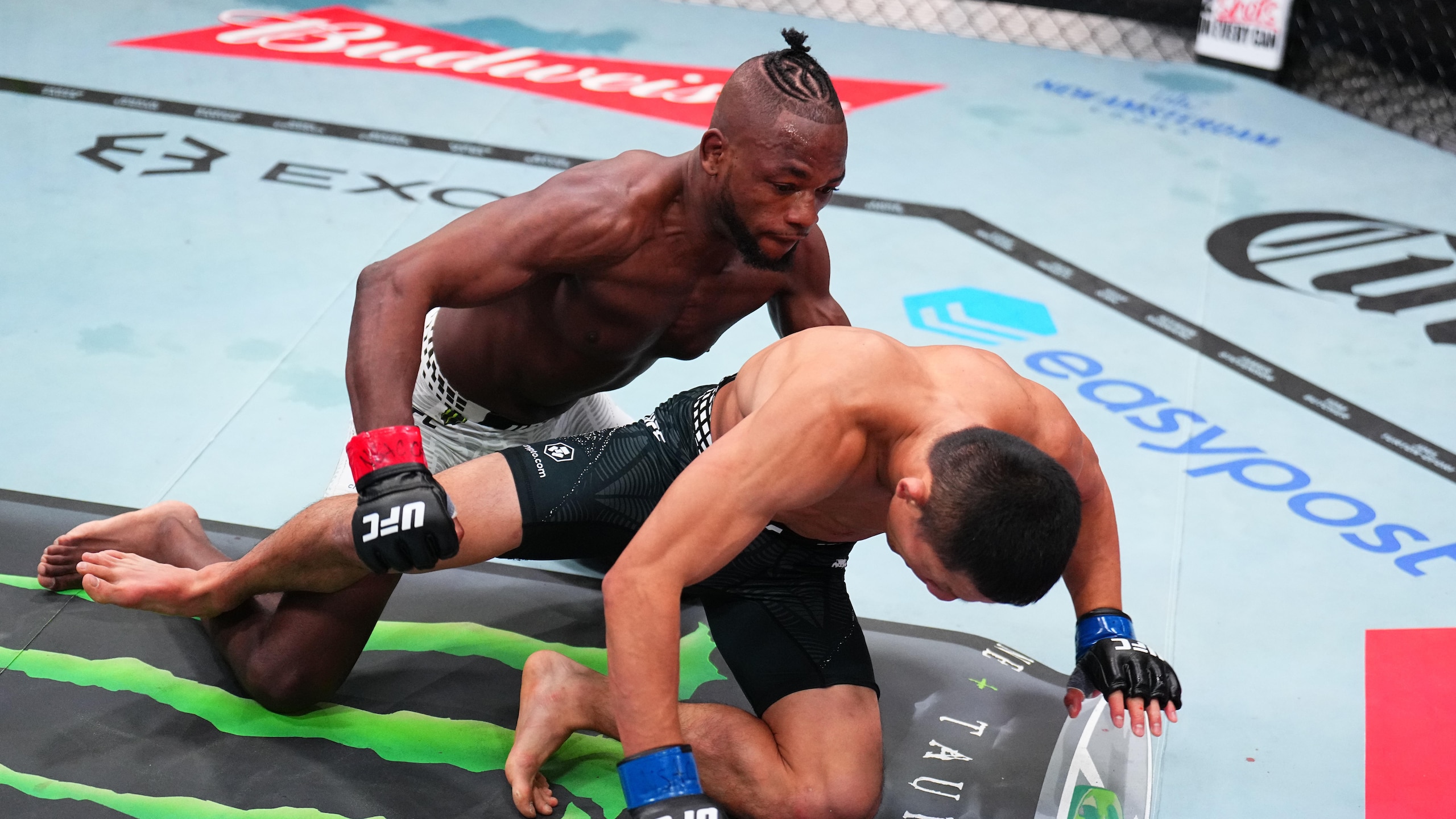 UFC Fight Night: Kape vs Horiguchi
