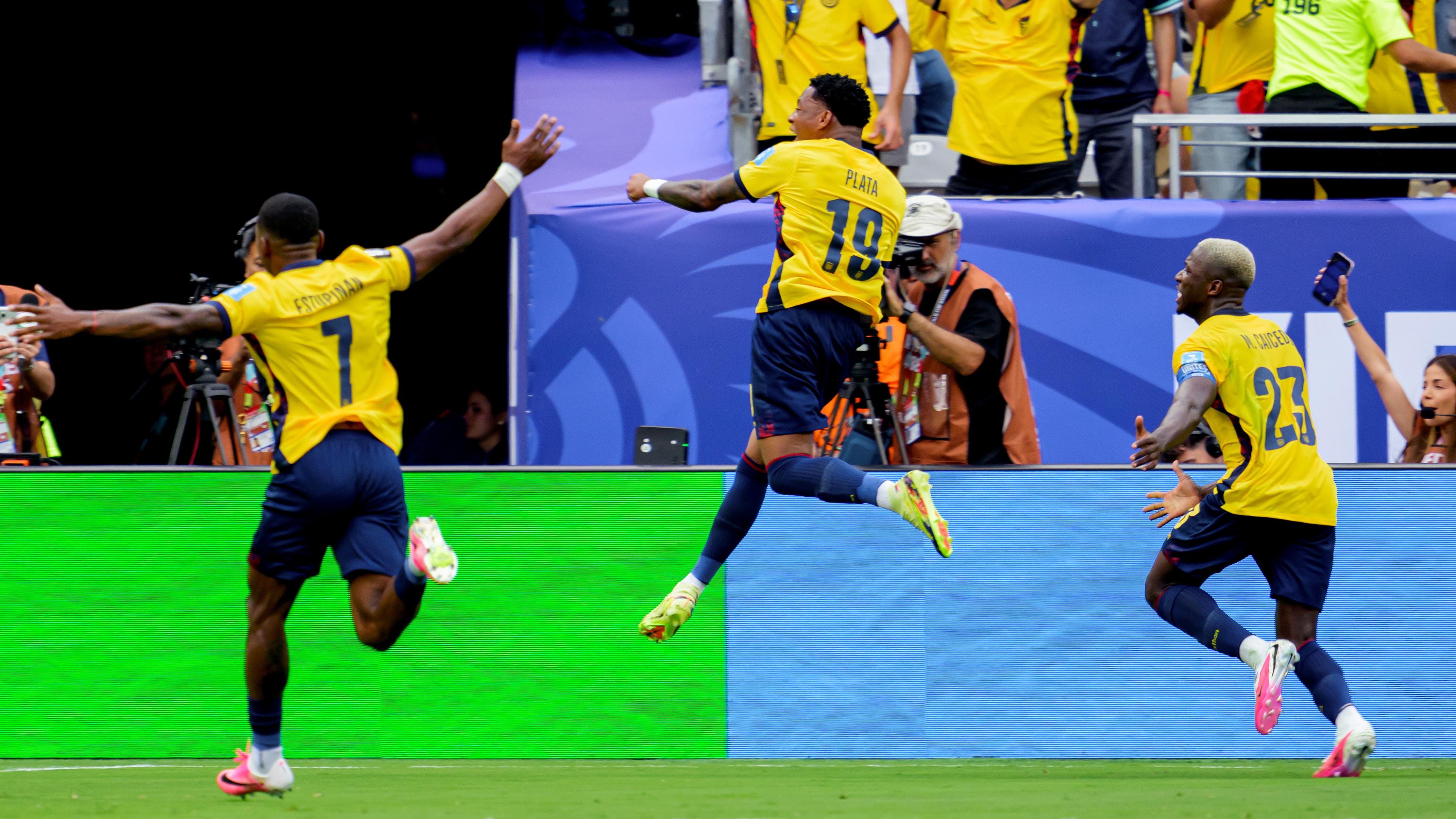 Ecuador  v Germany -World Cup