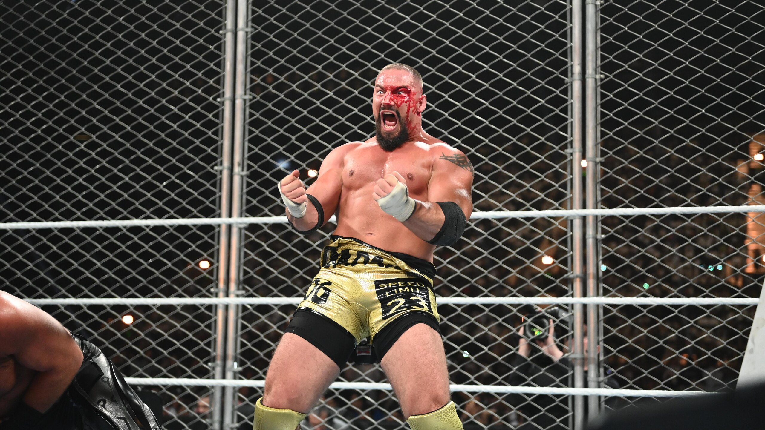 WWE: Night Of Champions