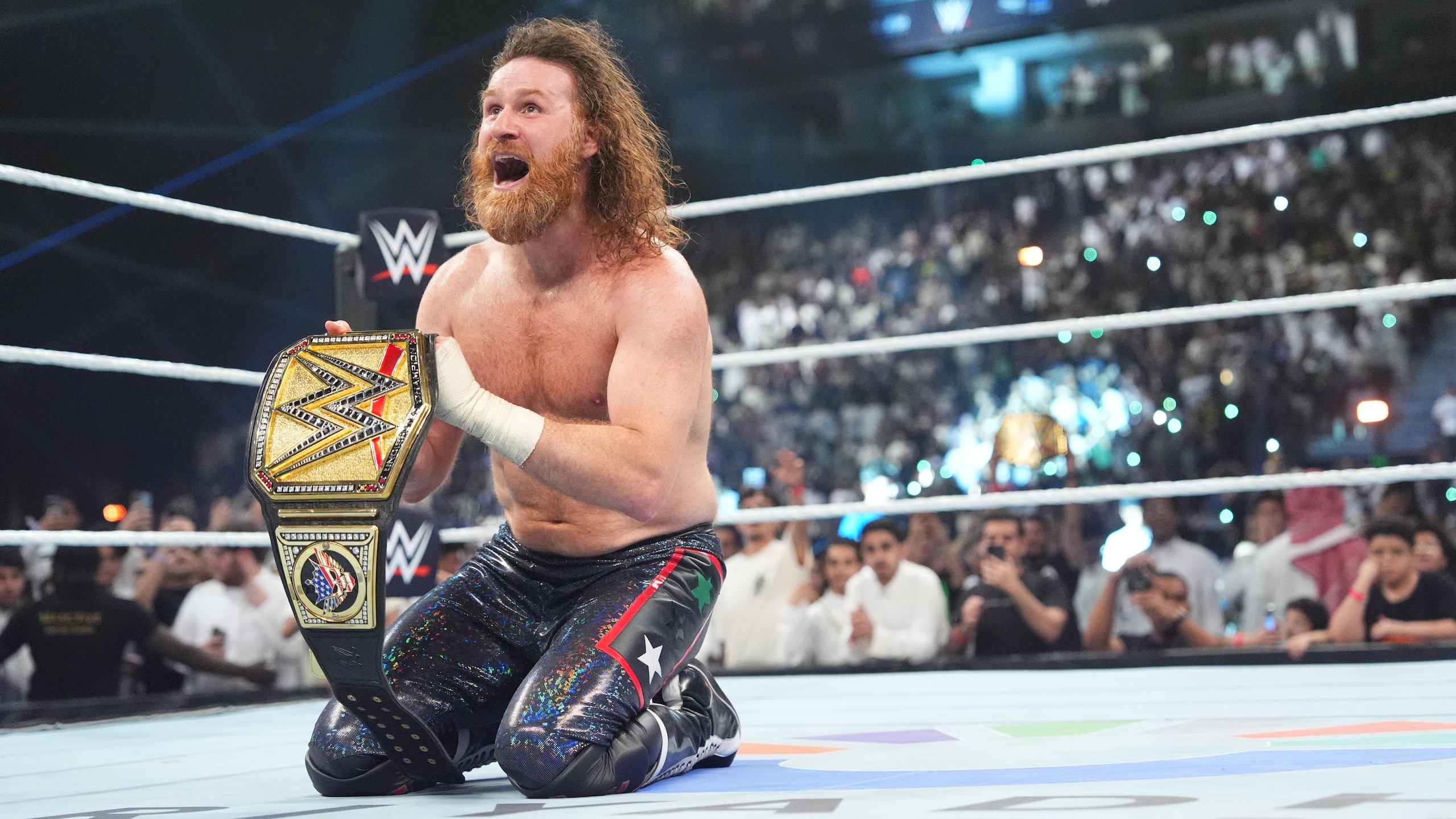WWE: Night Of Champions