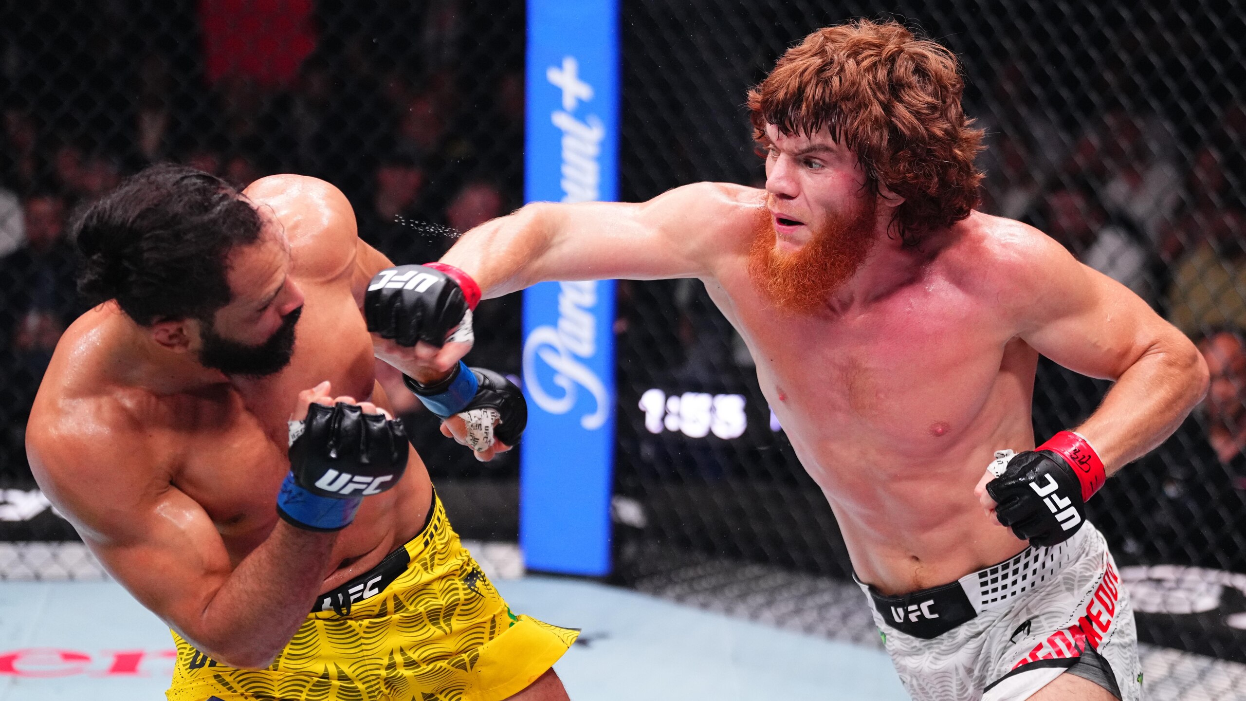 UFC Fight Night: Magomedov v Pereira