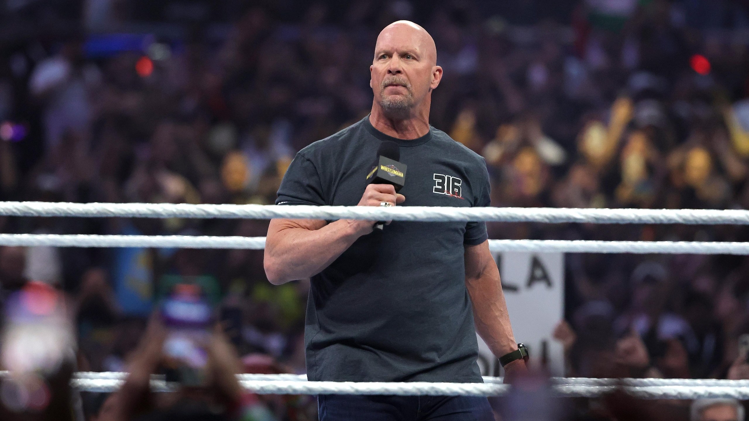 WrestleMania 41