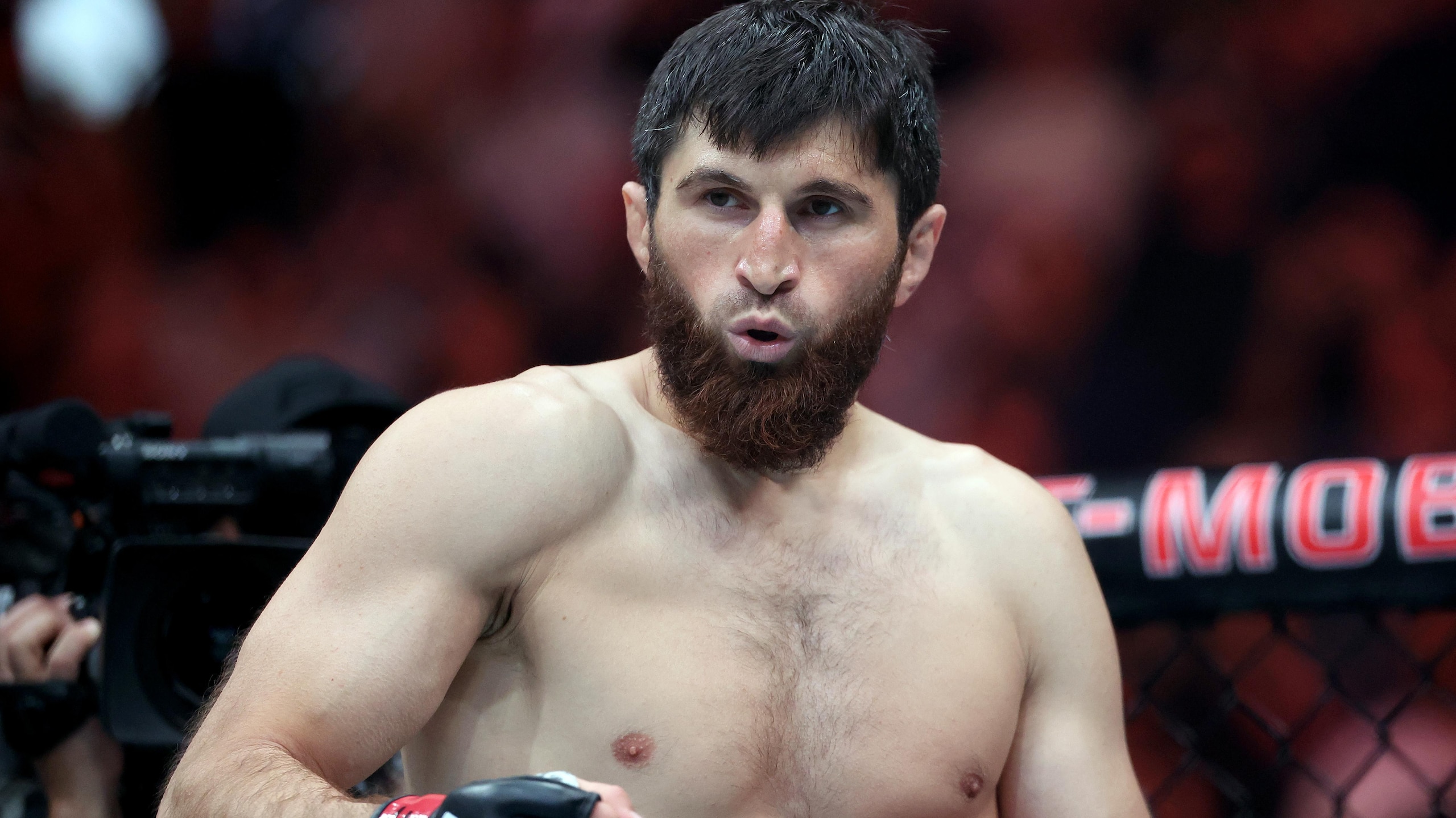 4 Fights We Need to See After UFC Fight Night