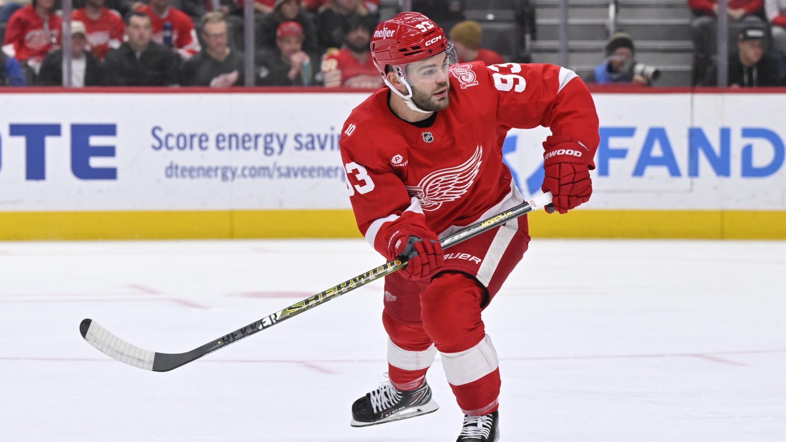 NHL: NOV 15 Sabres at Red Wings