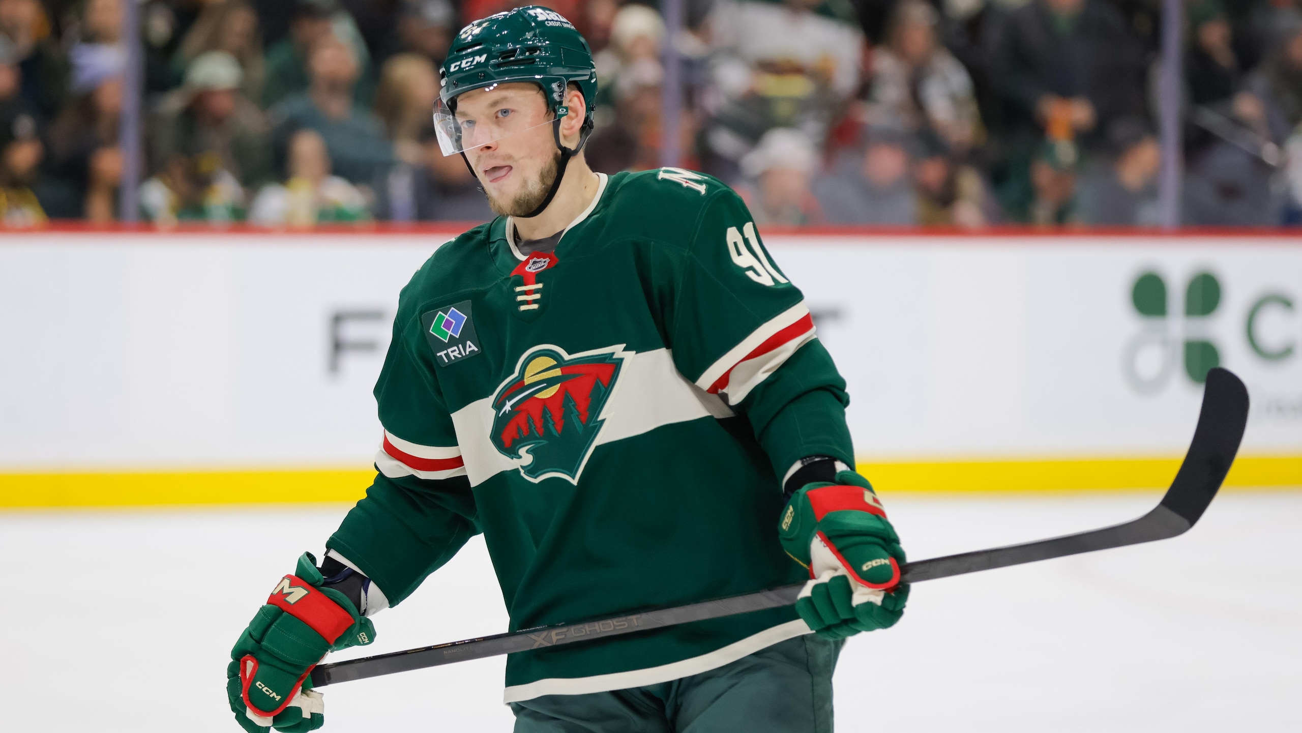 NHL: JAN 29 Flames at Wild