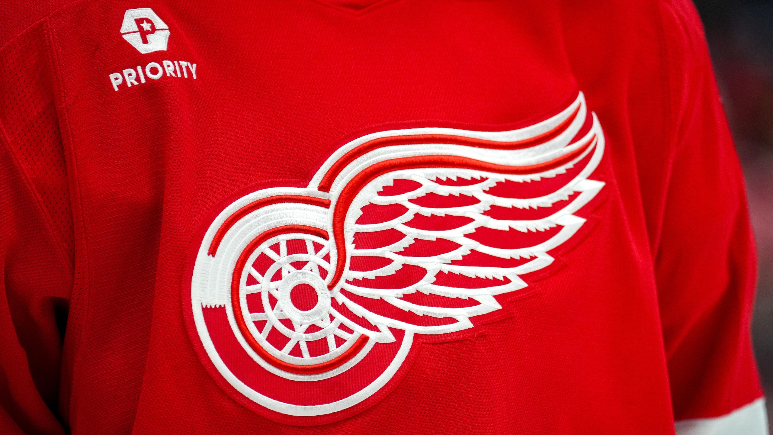 Vegas Golden Knights v Detroit Red Wings